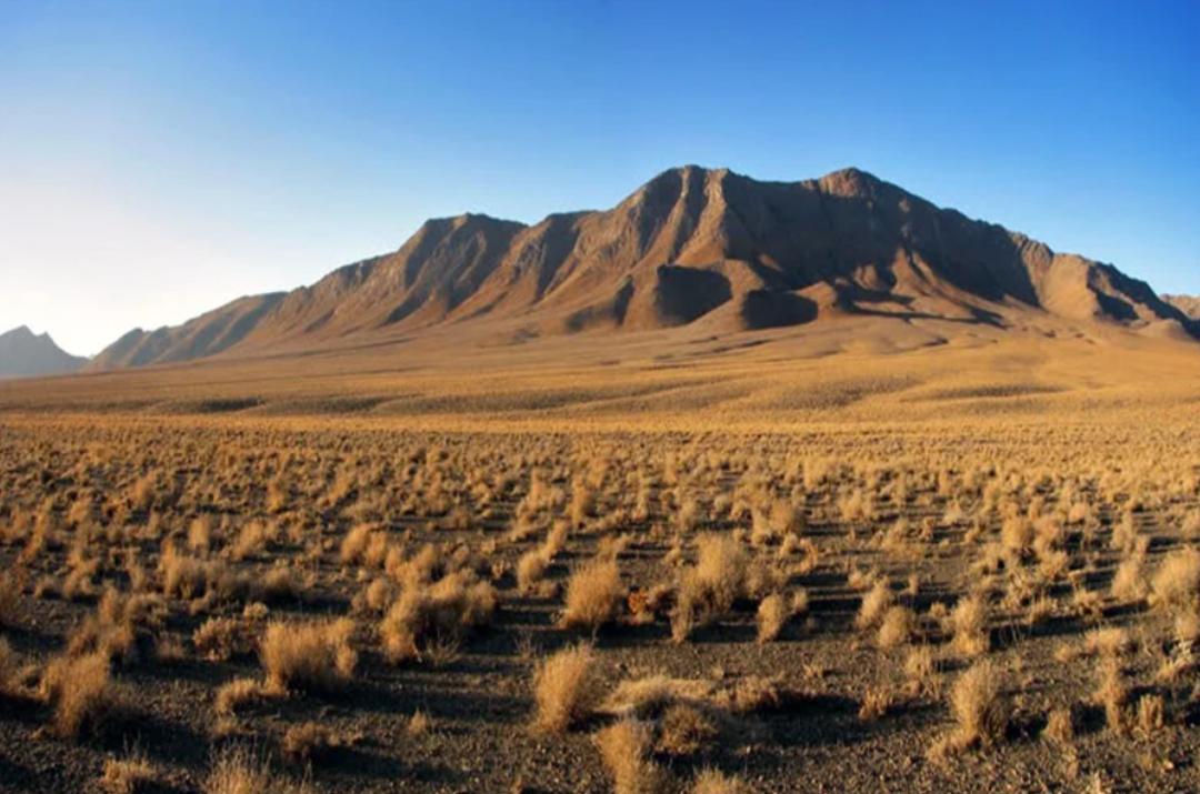مناطق صحرایی قمیشلو