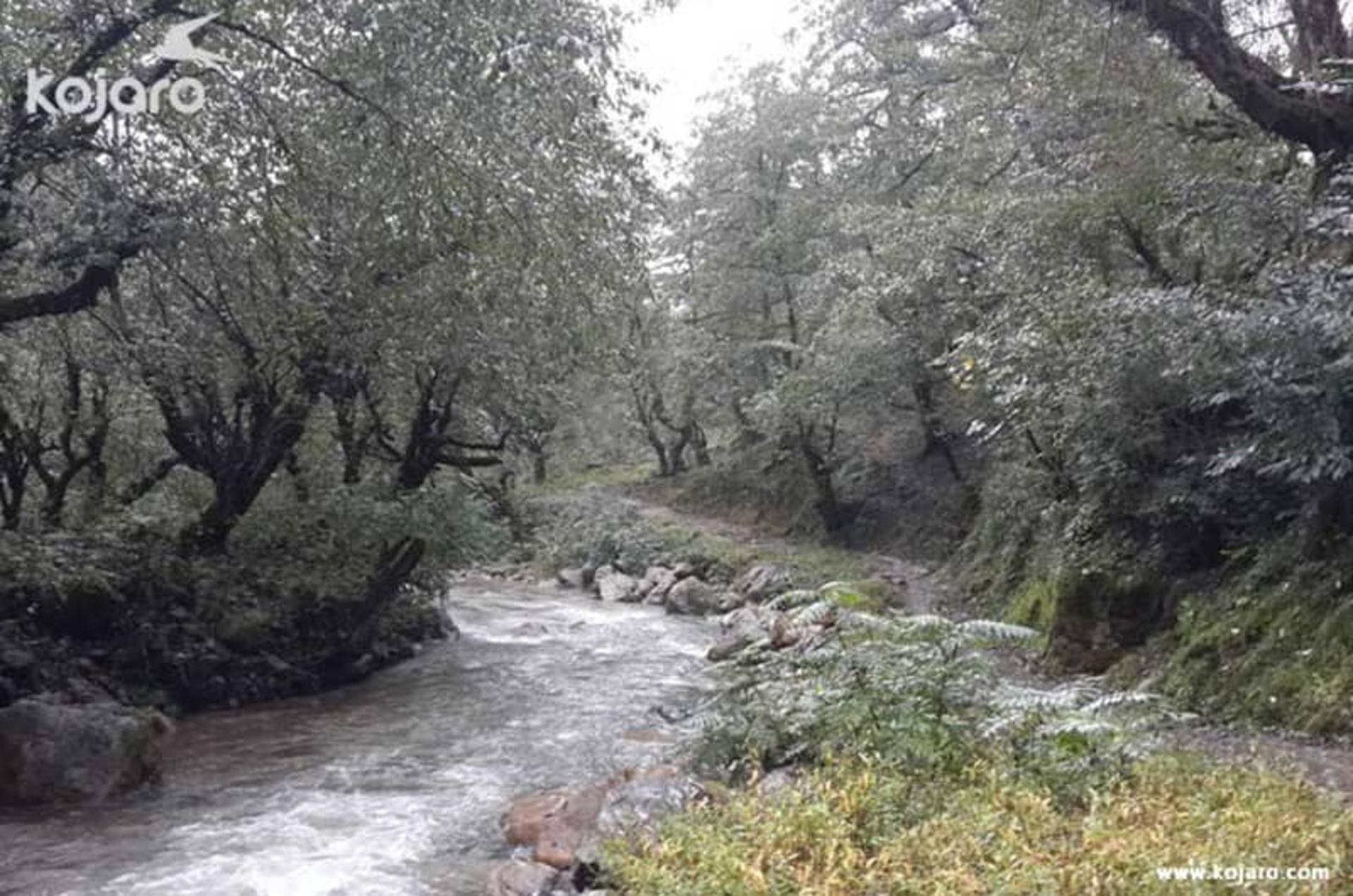 روستای فوشه