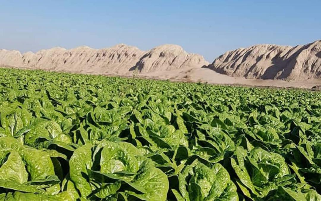 قلعه ایرج