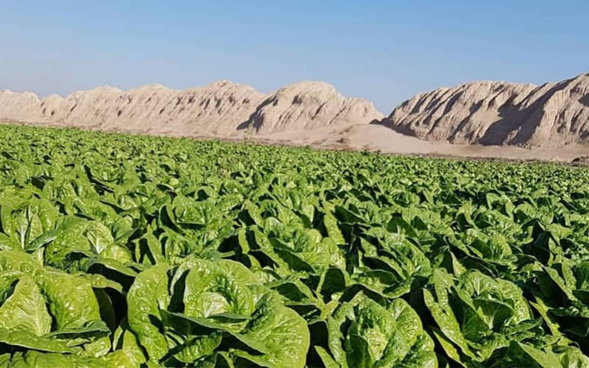 قلعه ایرج