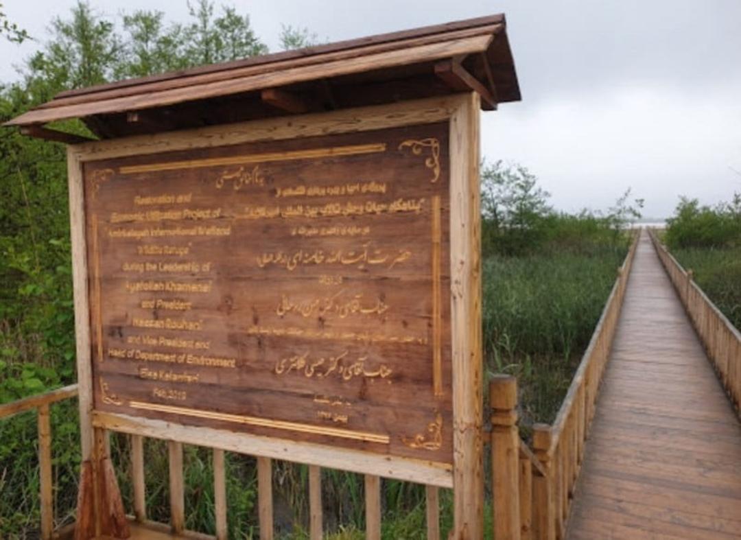 تالاب امیرکلایه