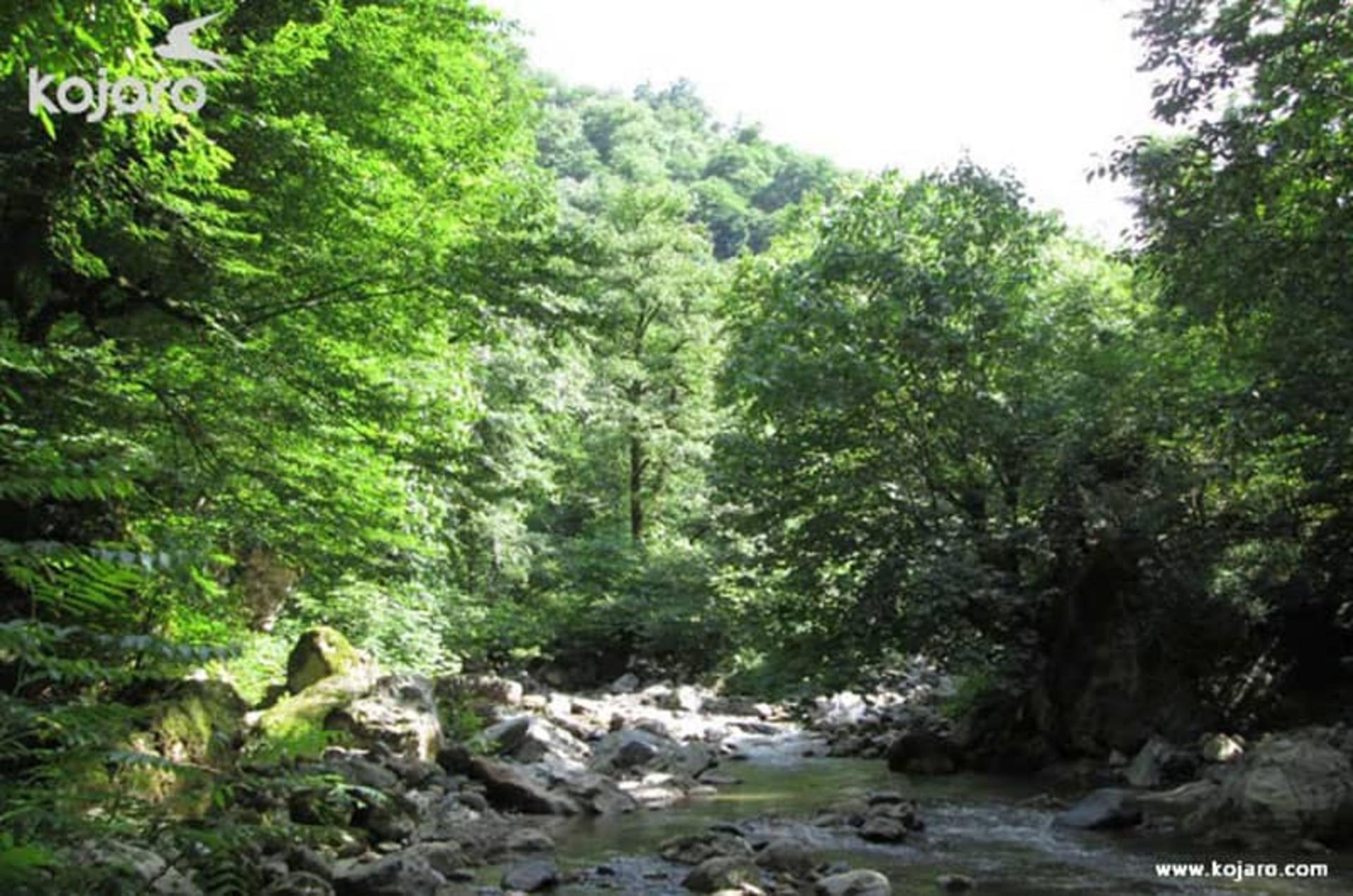 روستای فوشه
