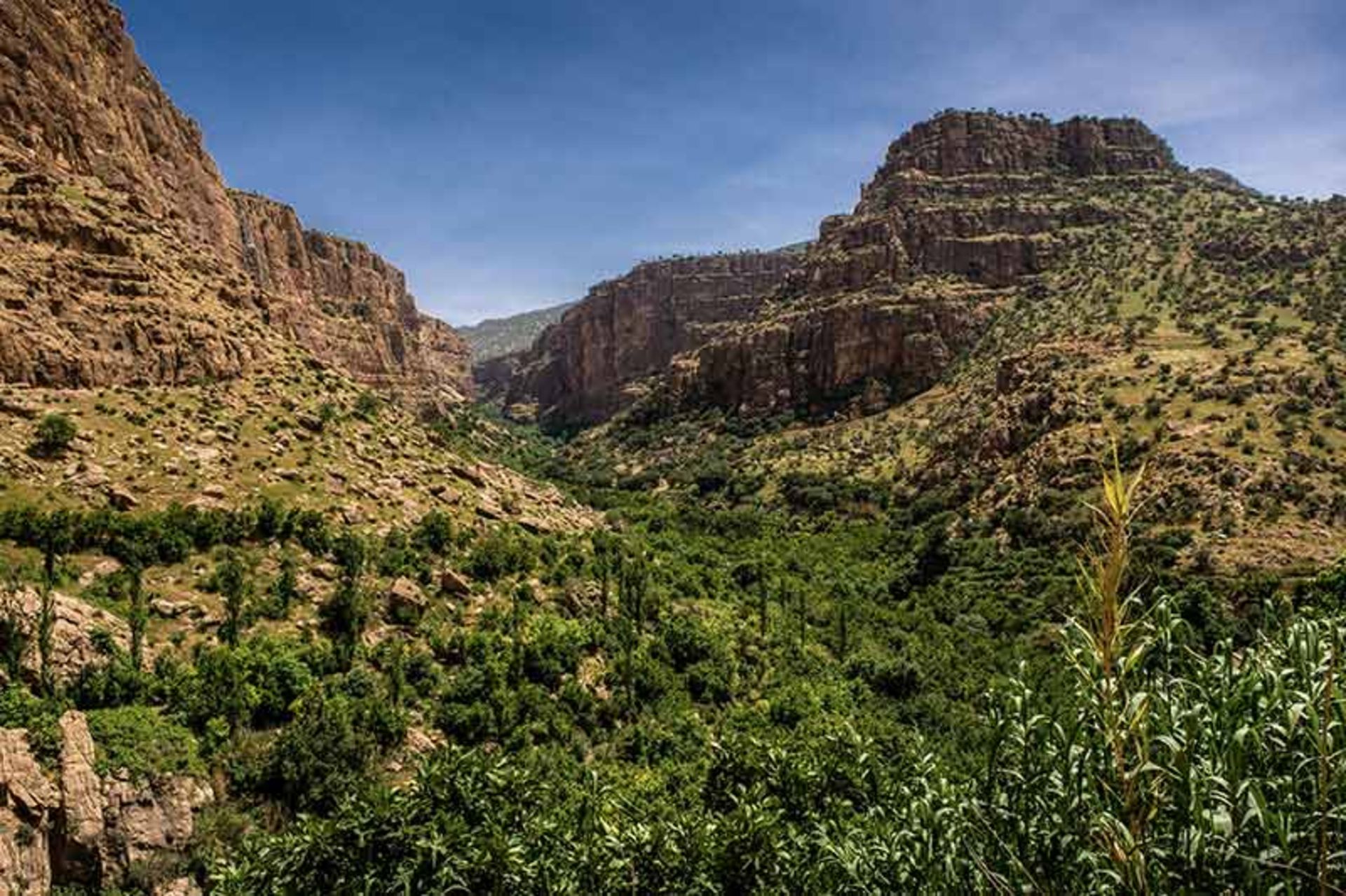 کوهستان دالاهو کرمانشاه