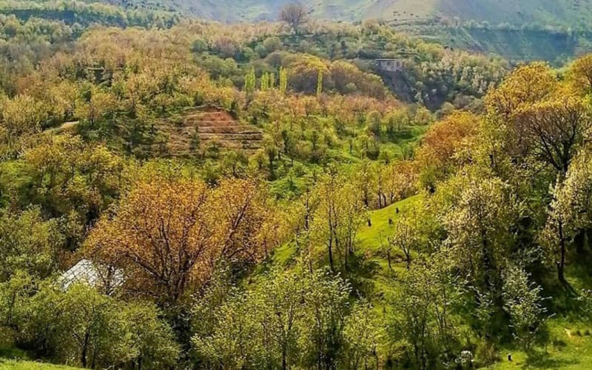 روستای کند علیا