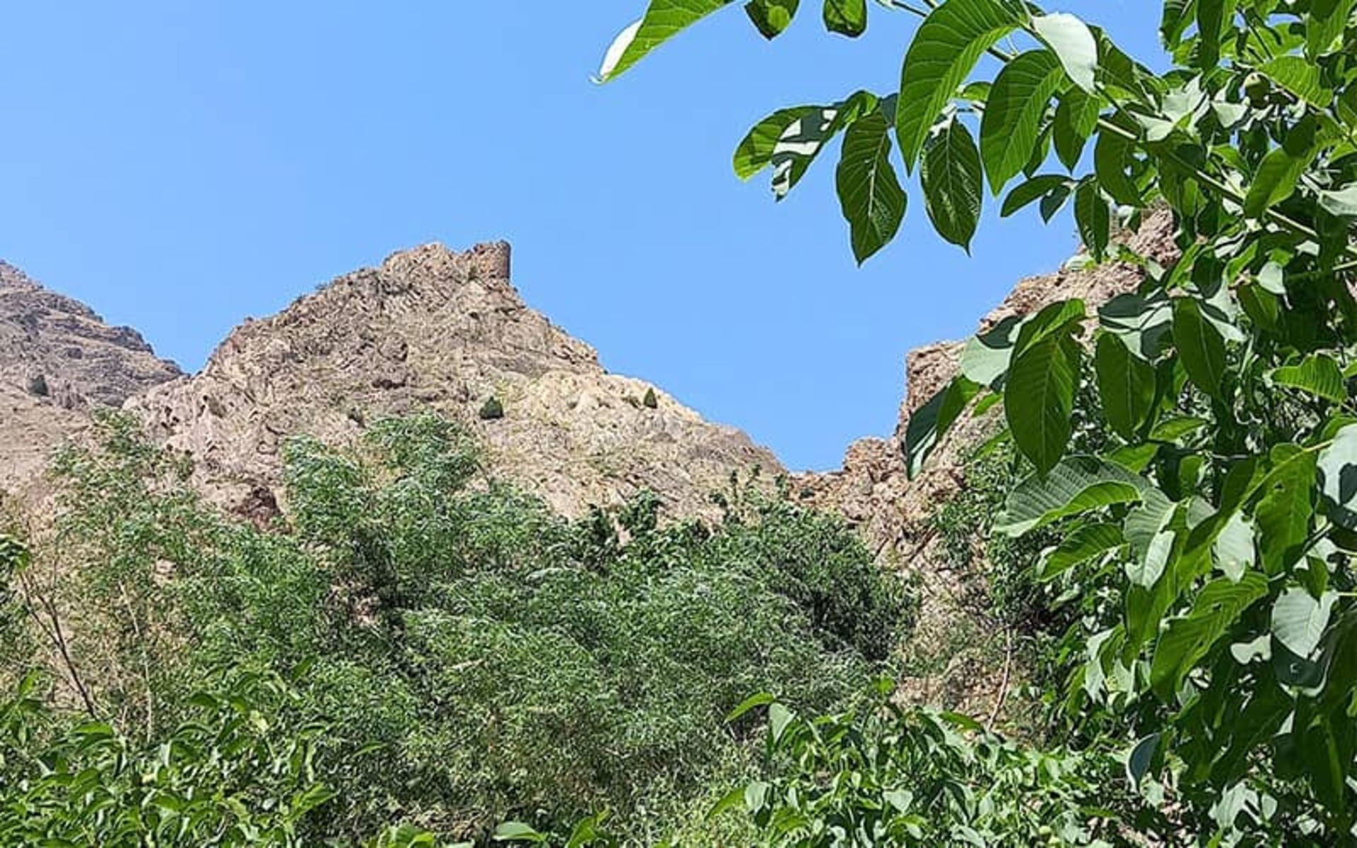قلعه مازیار