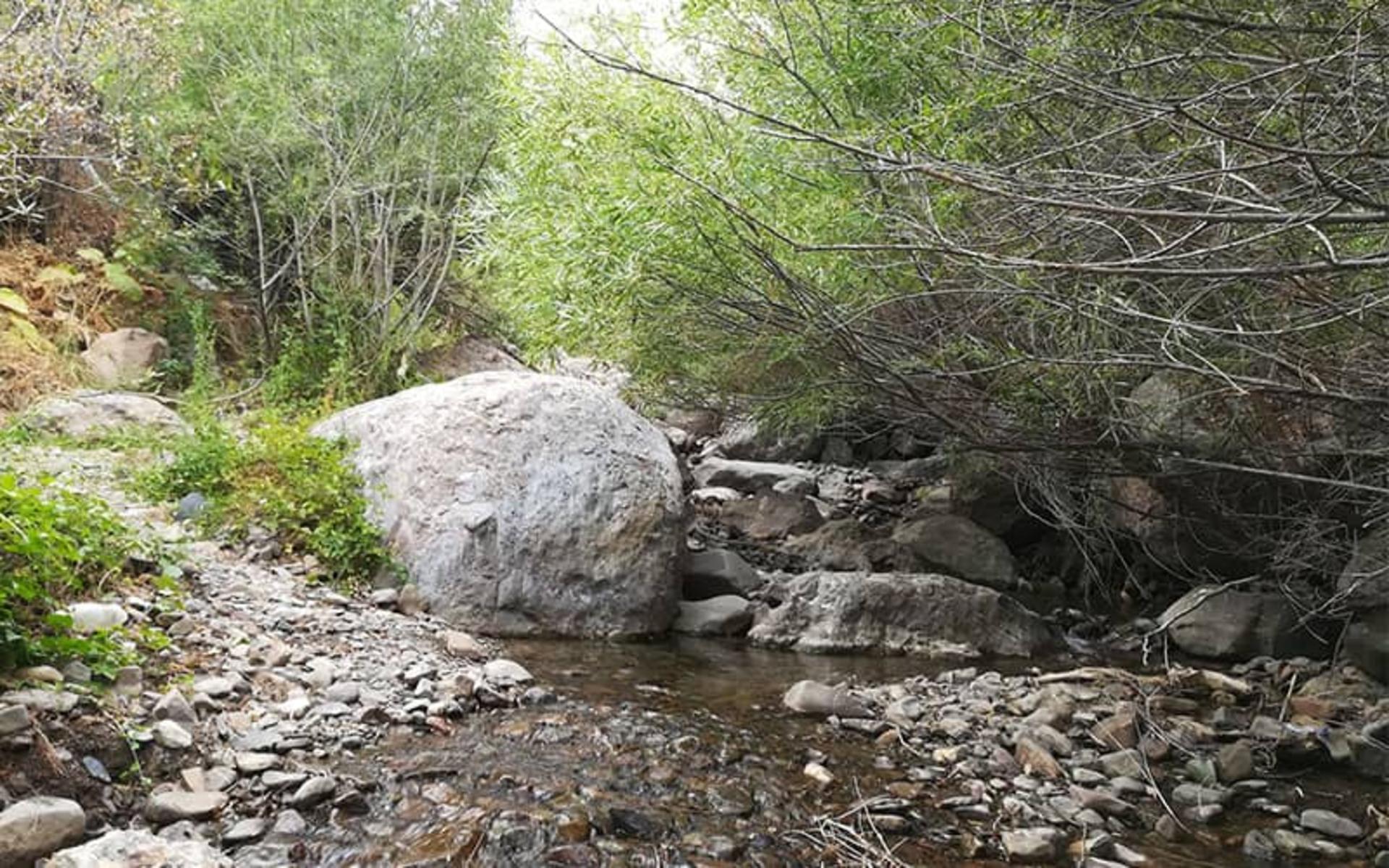 روستای برگ جهان