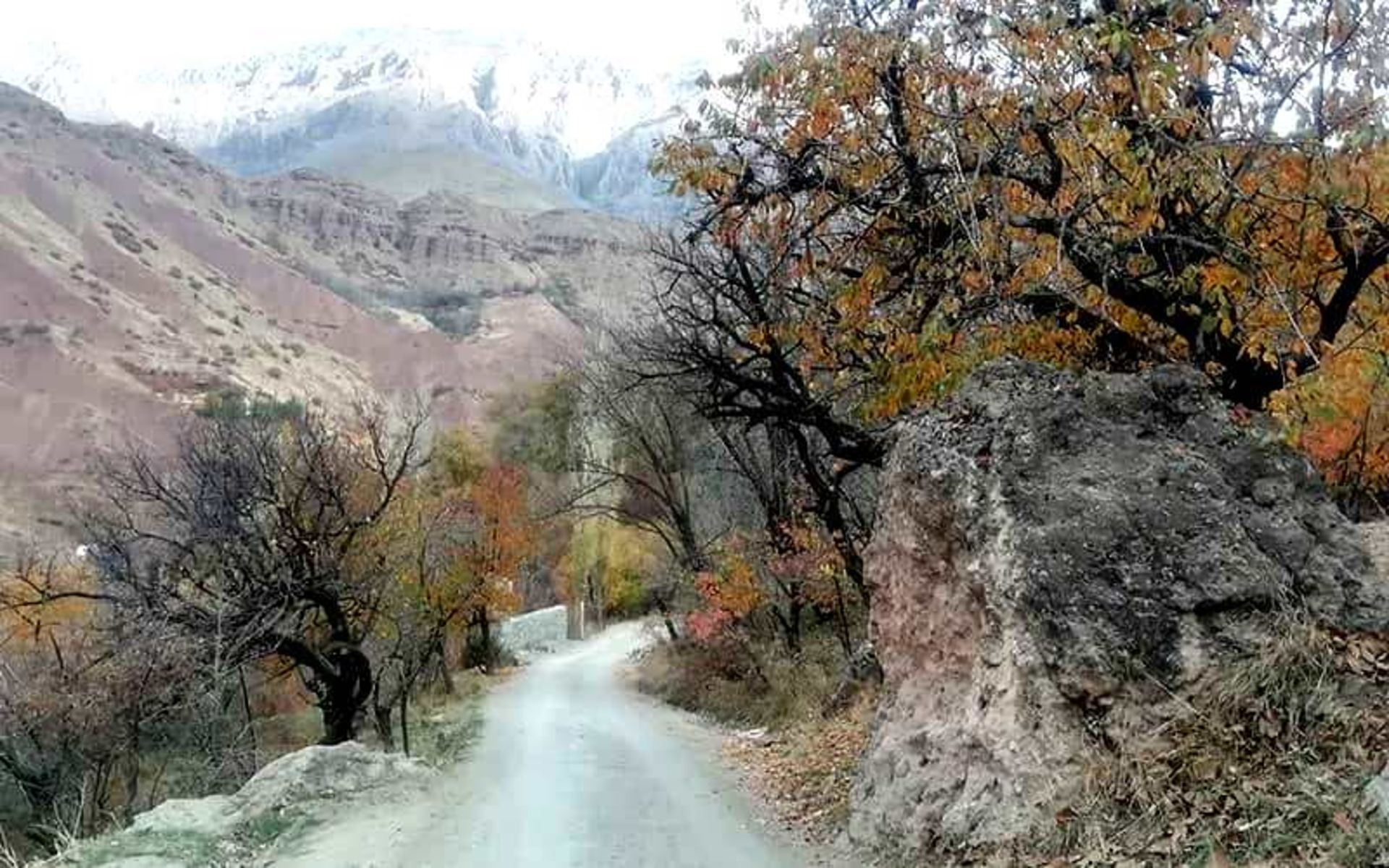 روستای کند علیا