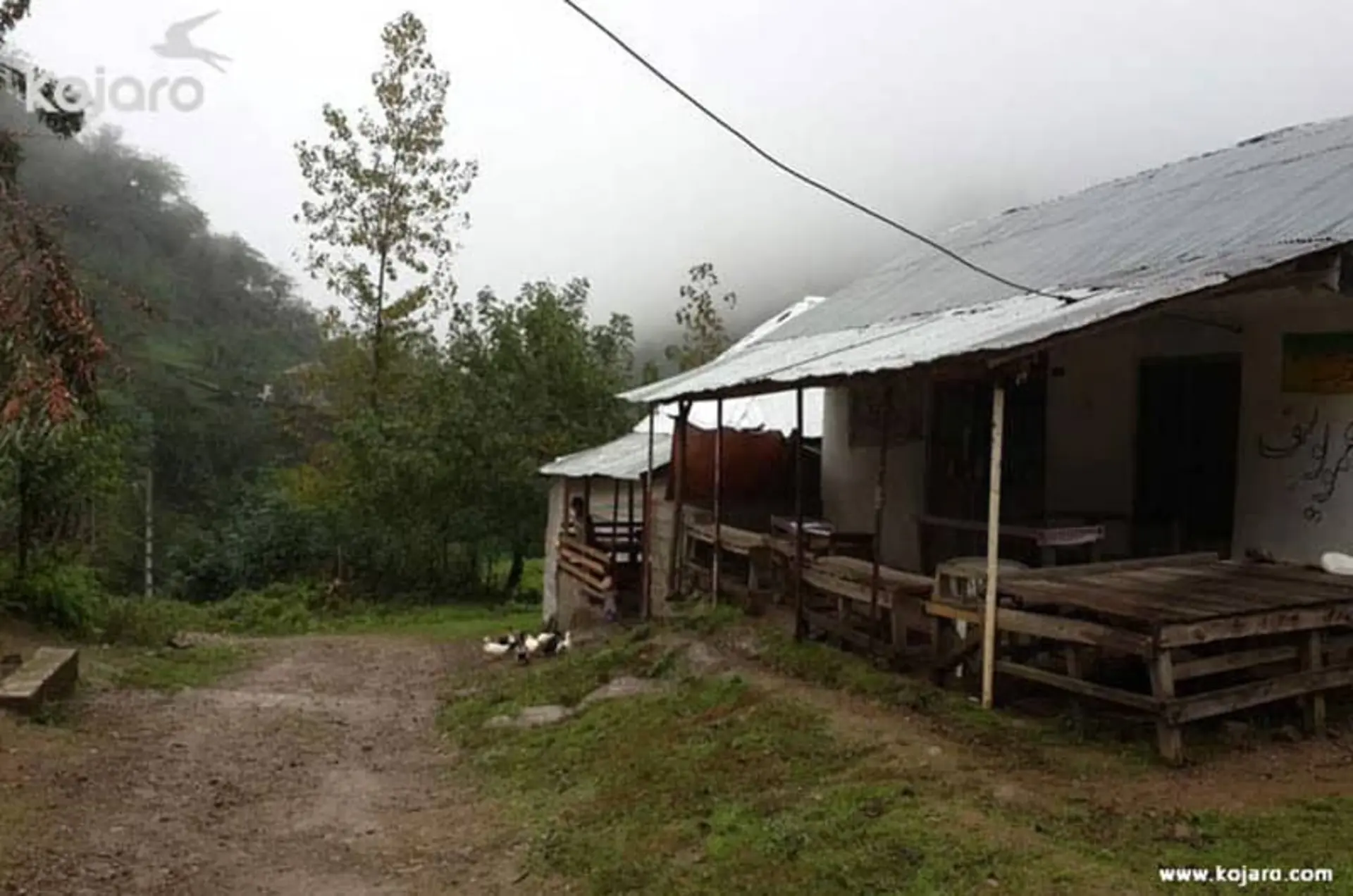 روستای فوشه