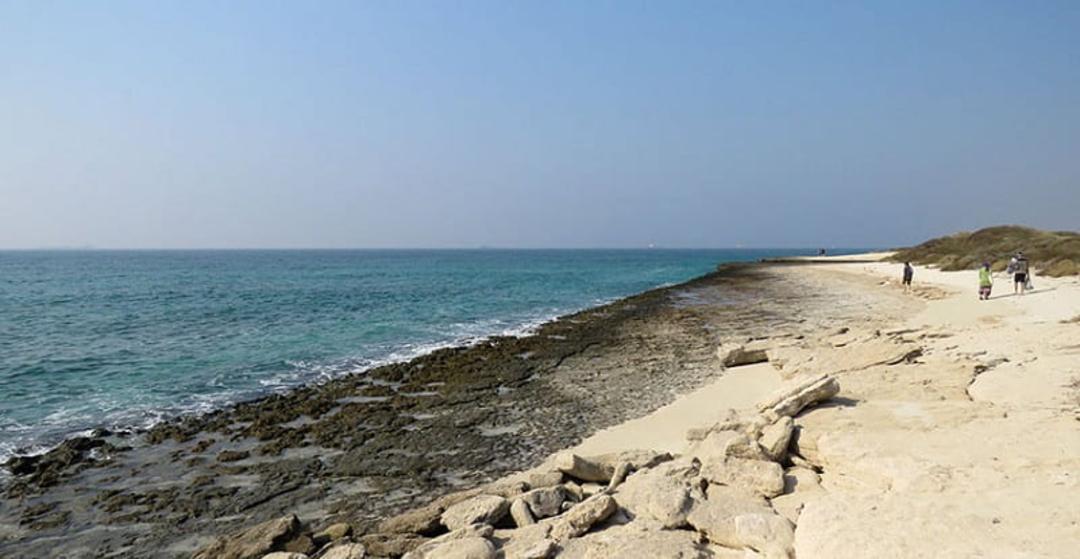 تفریحات جزیره مارو