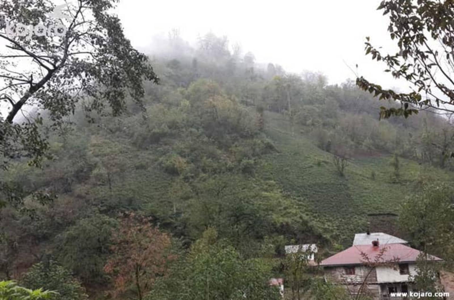روستای فوشه