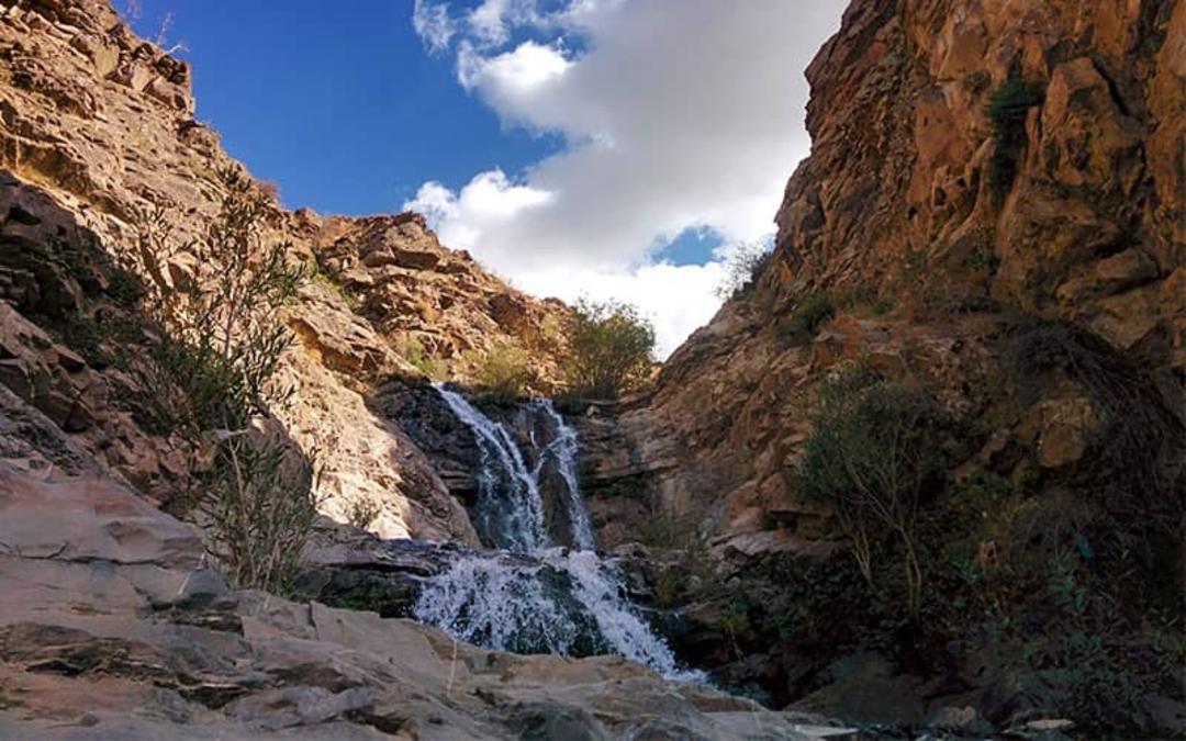 روستای برگ جهان