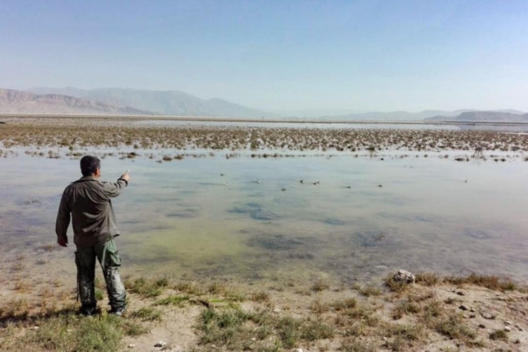 تالاب کمجان