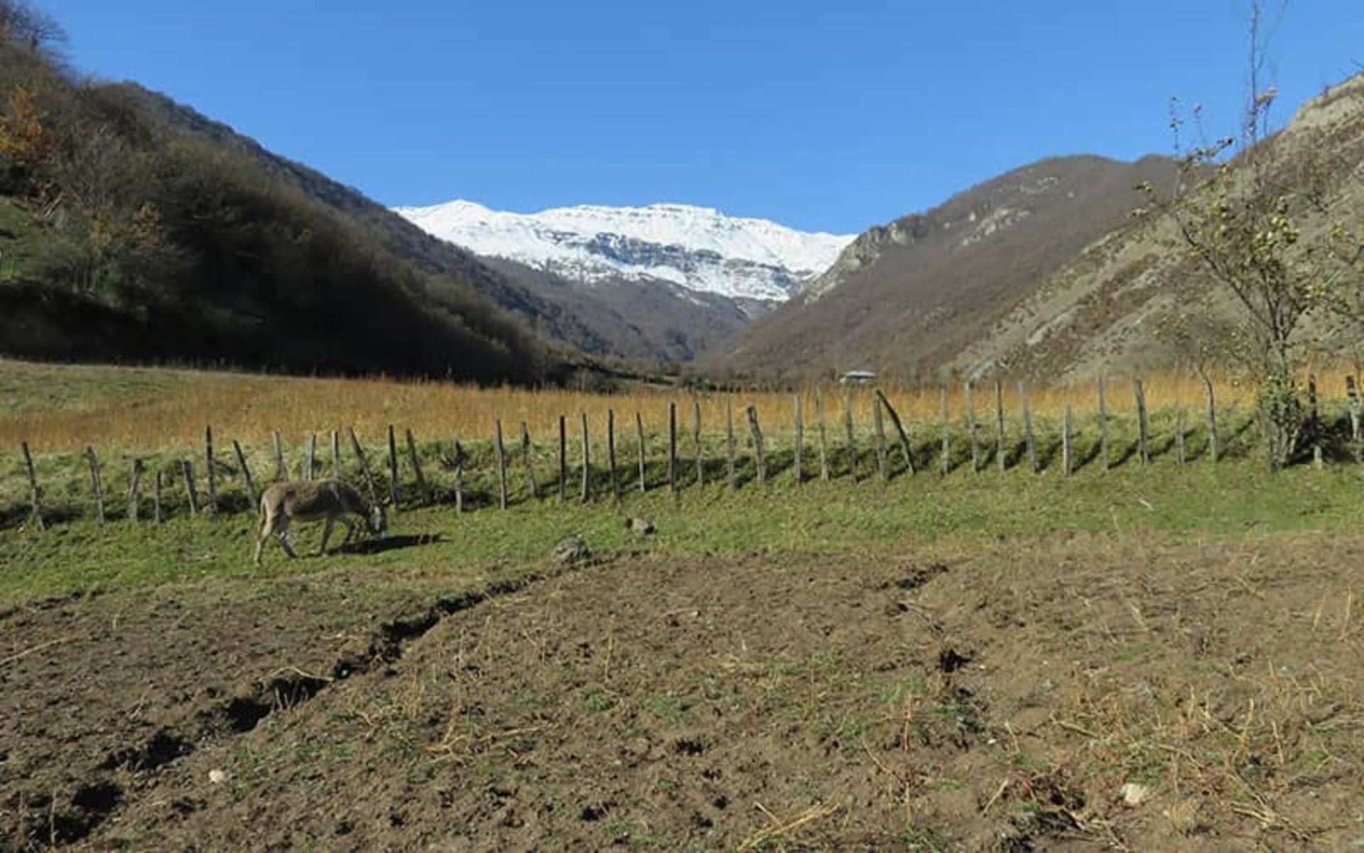 روستای مریان