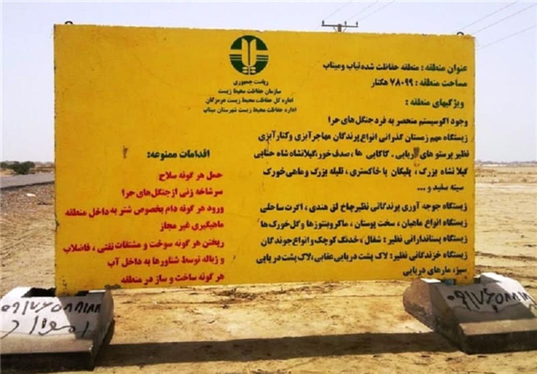 دلتای شور