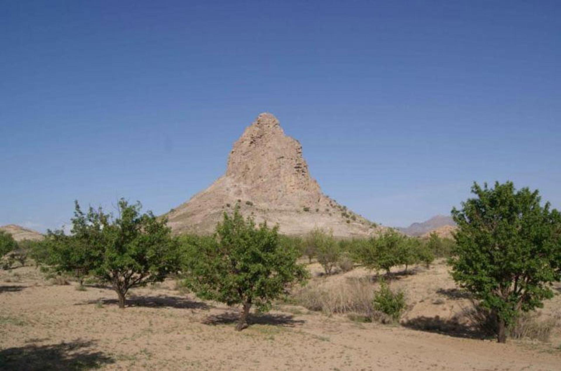 عکس جشن چهلم نوروز