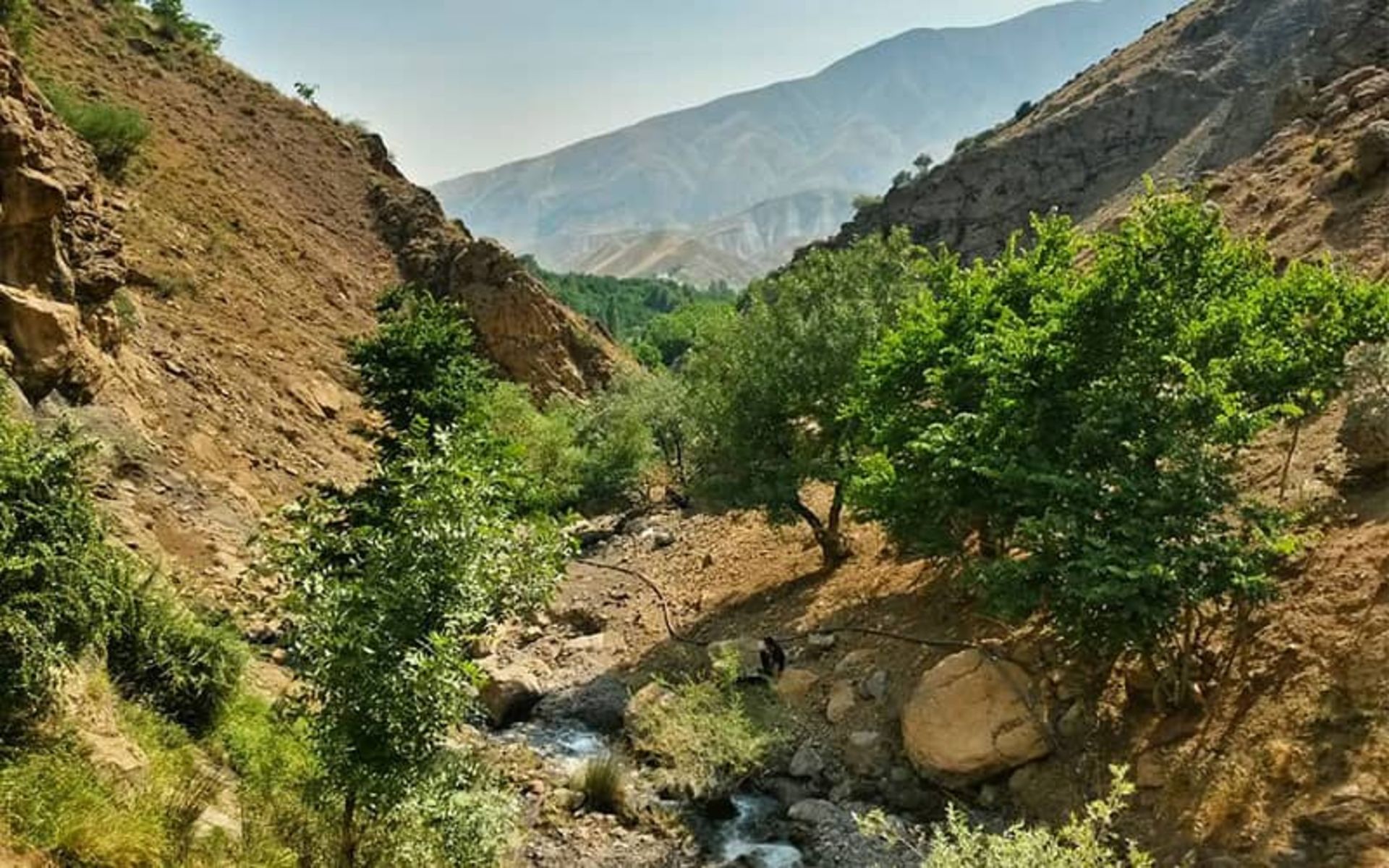 روستای کند علیا