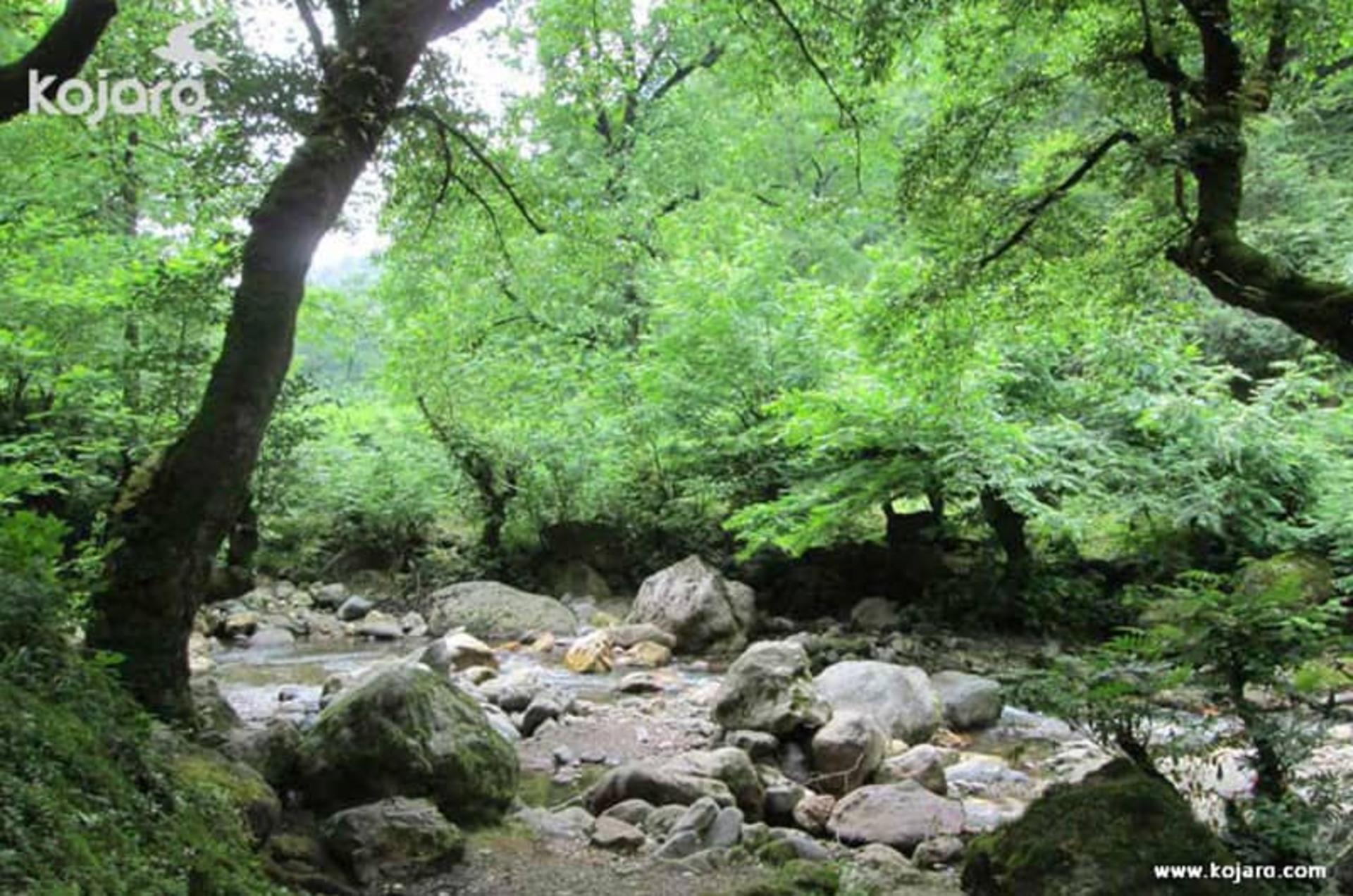 روستای فوشه