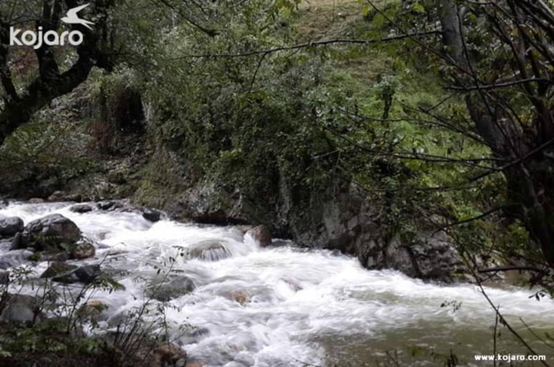 روستای فوشه