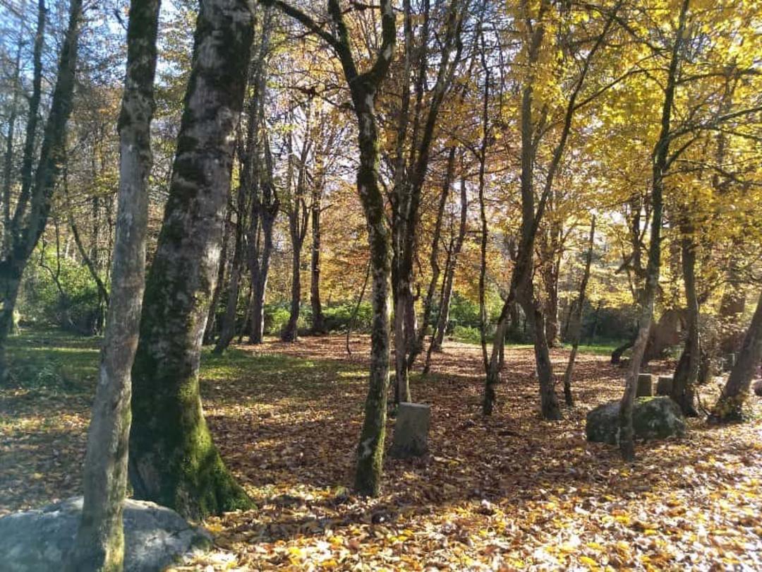 عکس پارک جنگلی سی سنگان