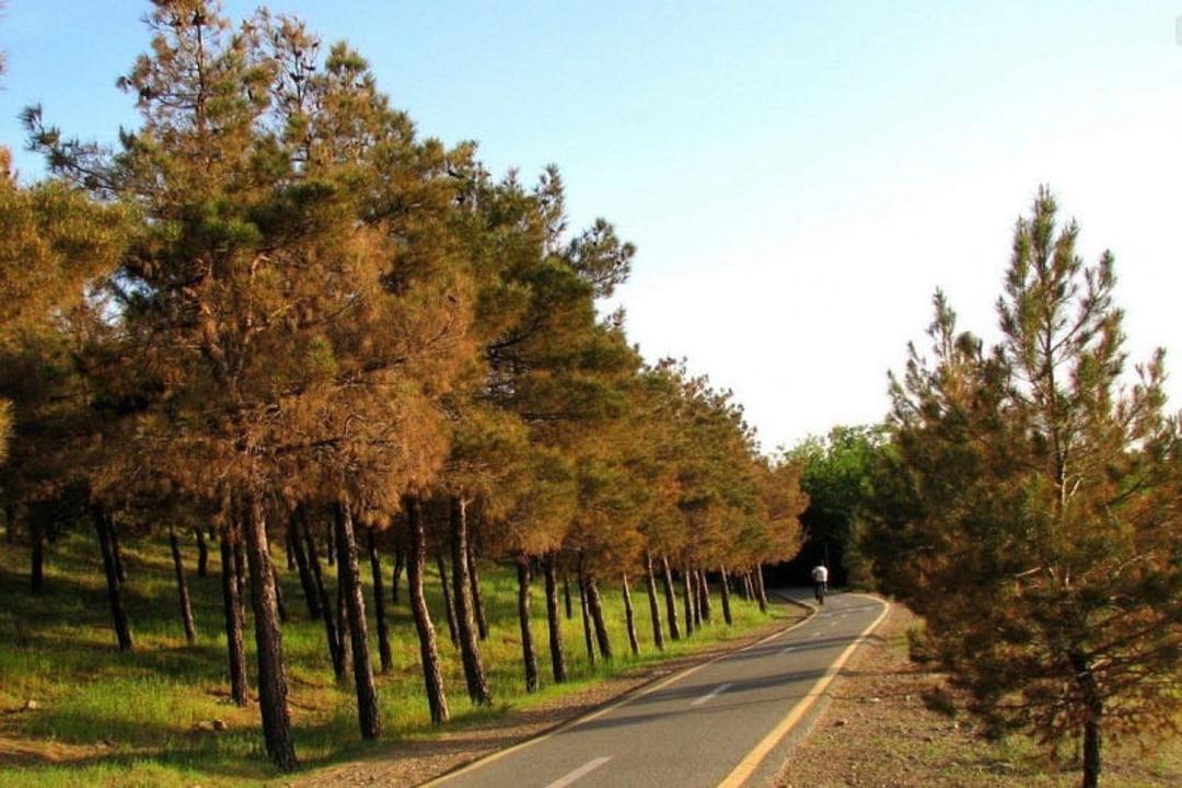 پارک چیتگر