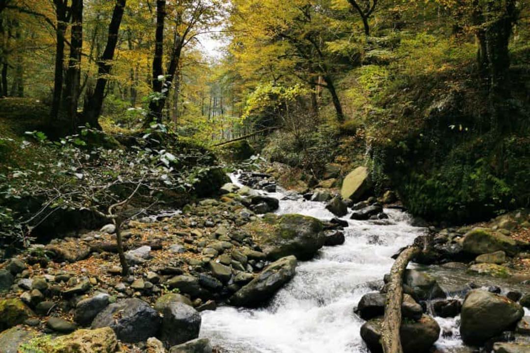 آبگرم فلکده