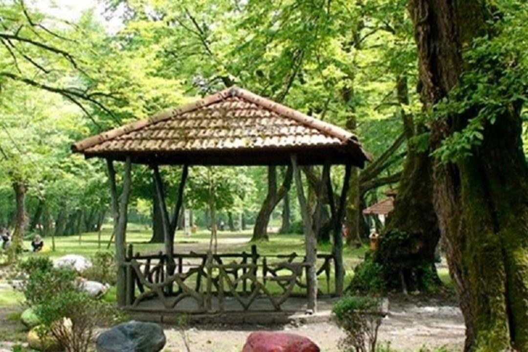 بوستان جنگلی تلو (غزال)