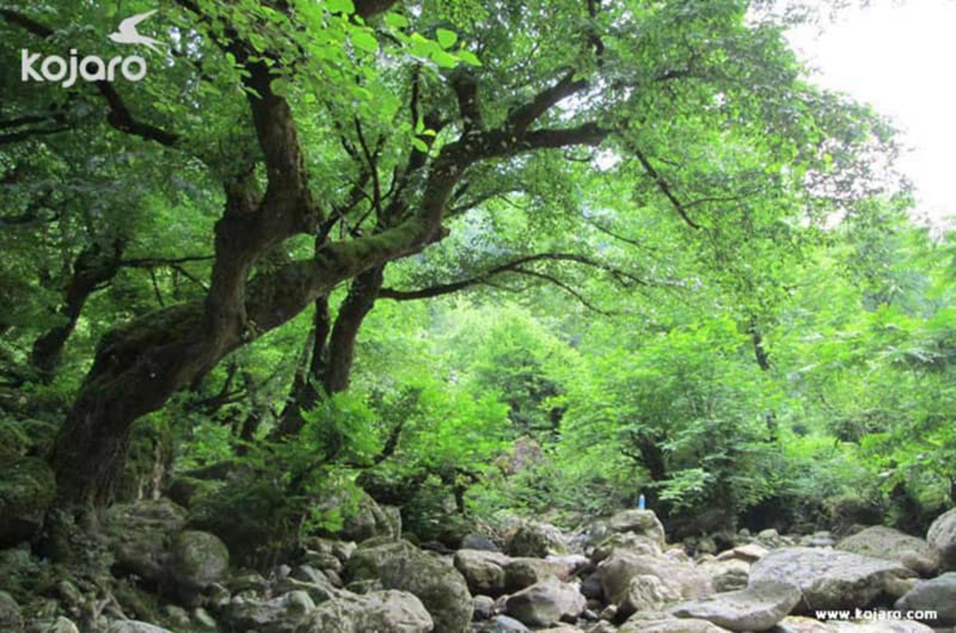 روستای فوشه