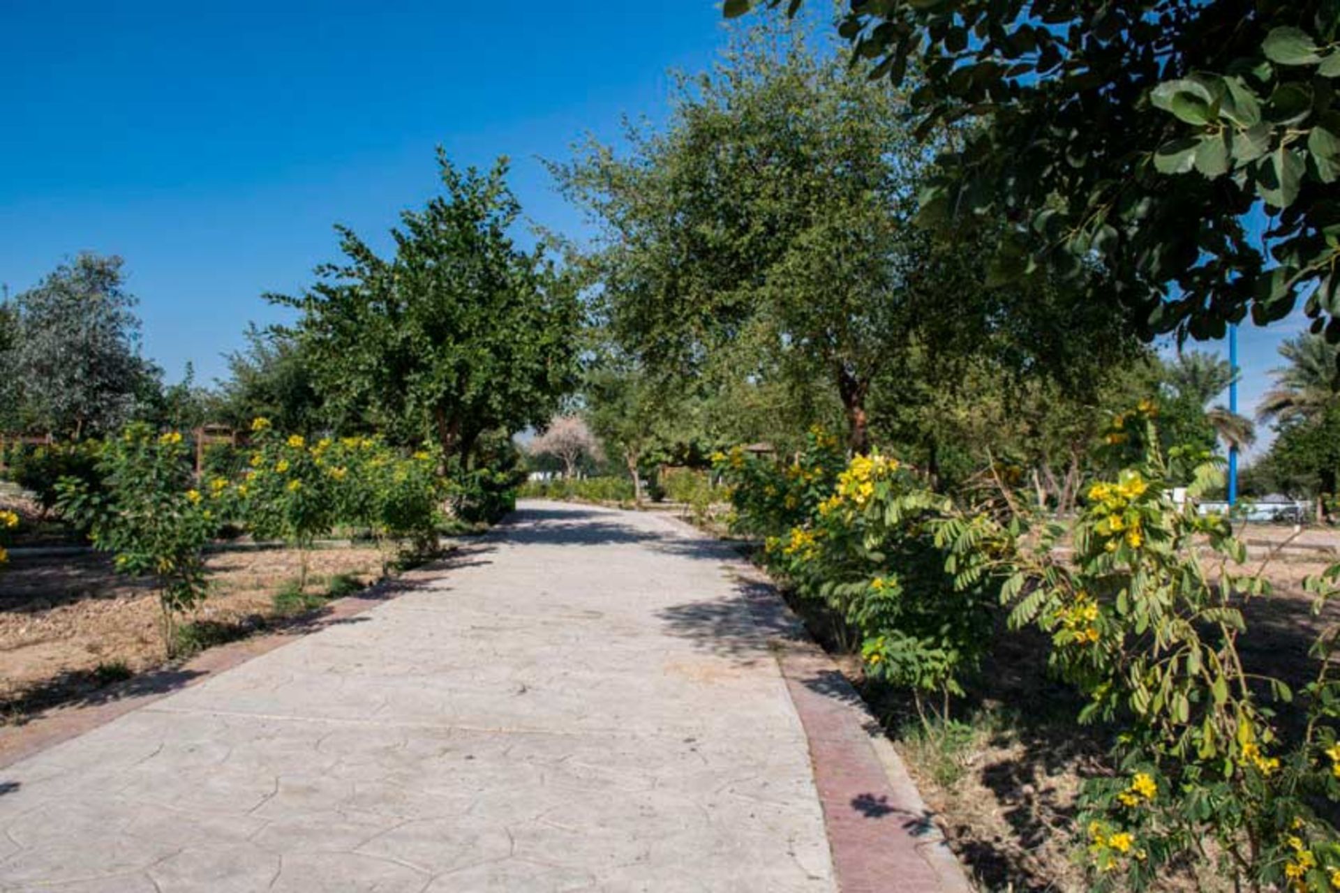 دهکده گردشگری ساحلی والفجر