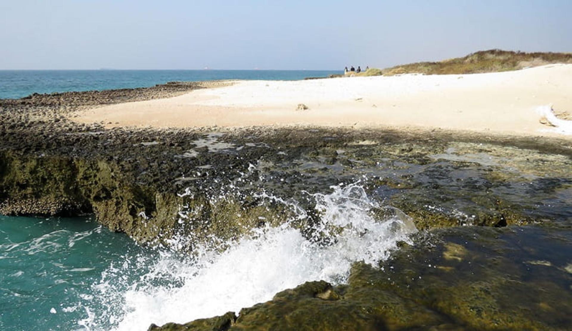ساحل جزیره شیدور
