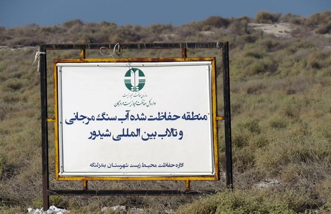 جزیره مارو