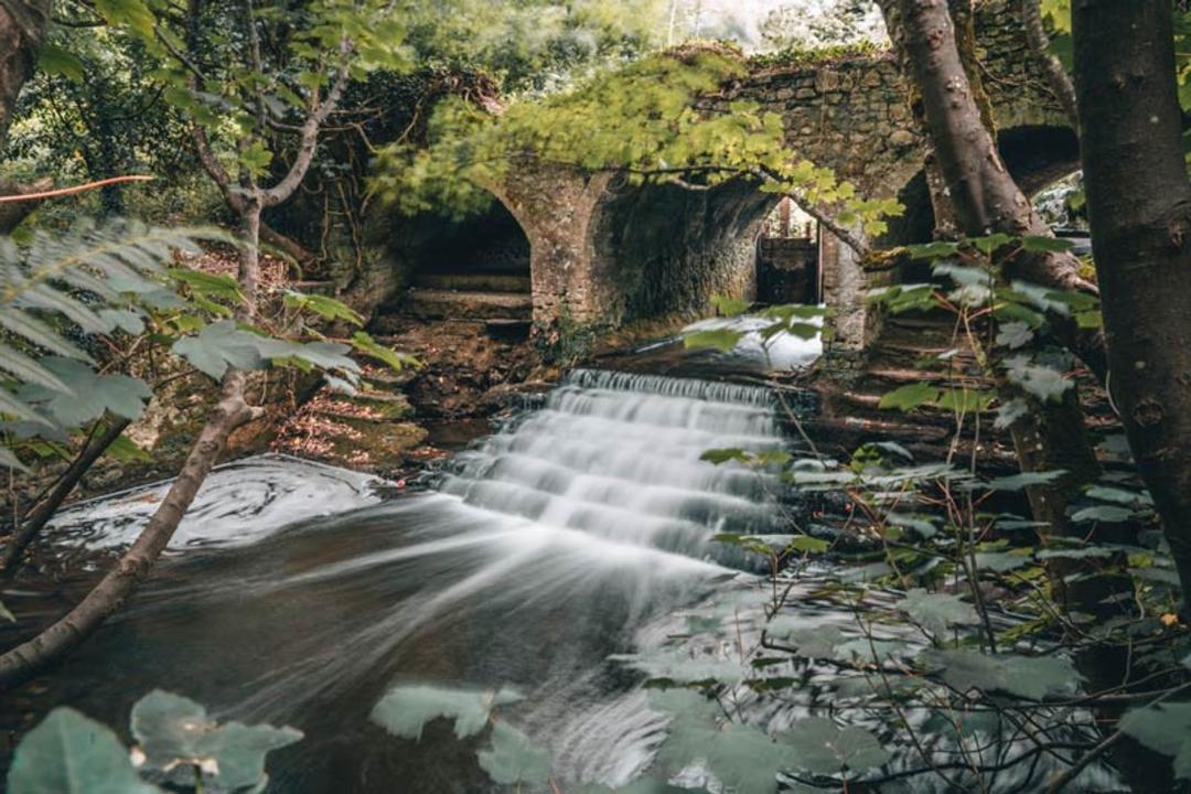 طبیعت دوبلین