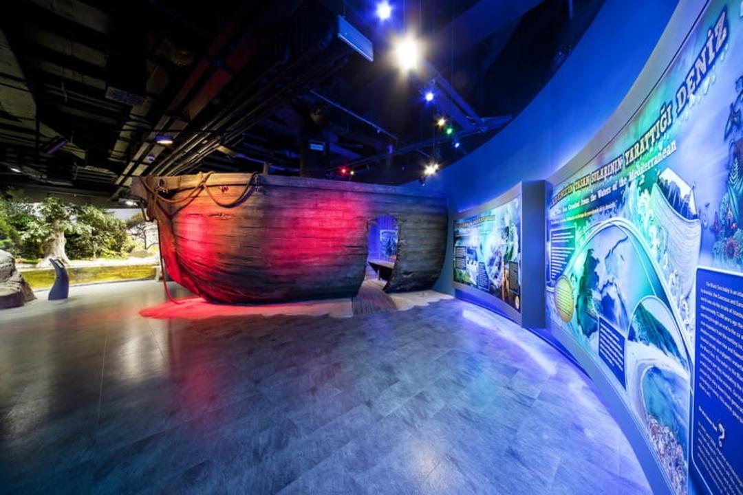 بخش دریای سیاه