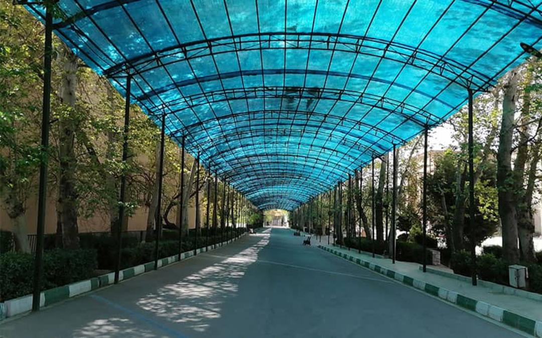 دانشگاه تهران
