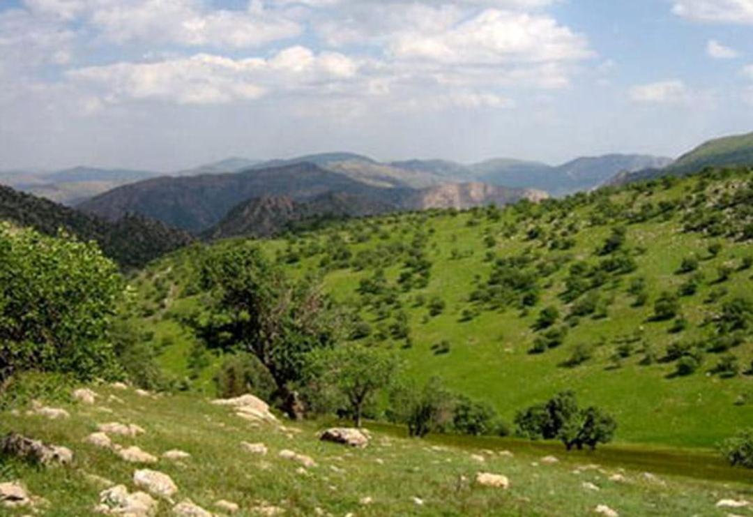 دشت های سرسبز سیروان در نزدیکی روستای سراب کلان