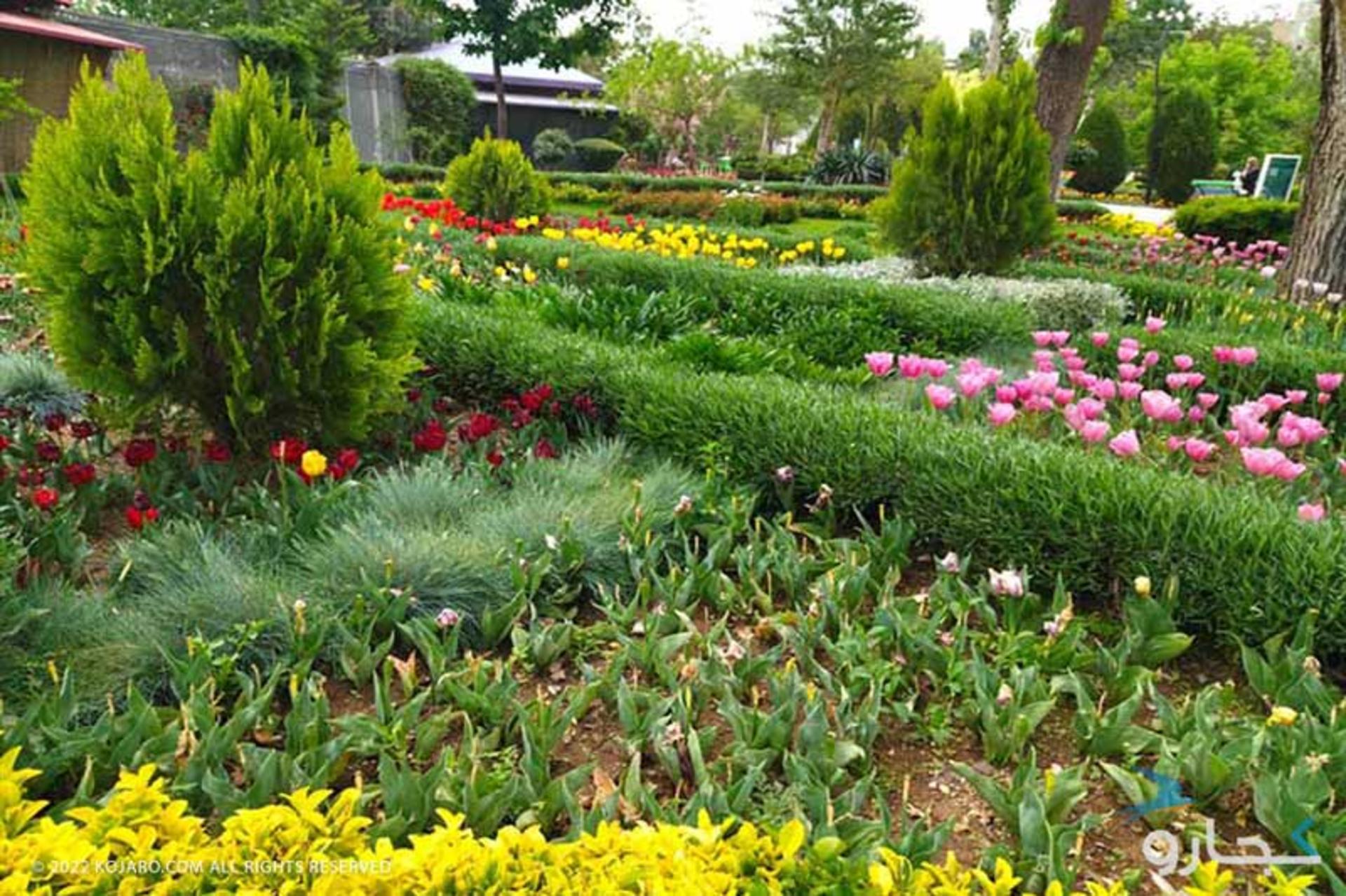 طبیعت رنگارنگ باغ گل لاله چمران کرج