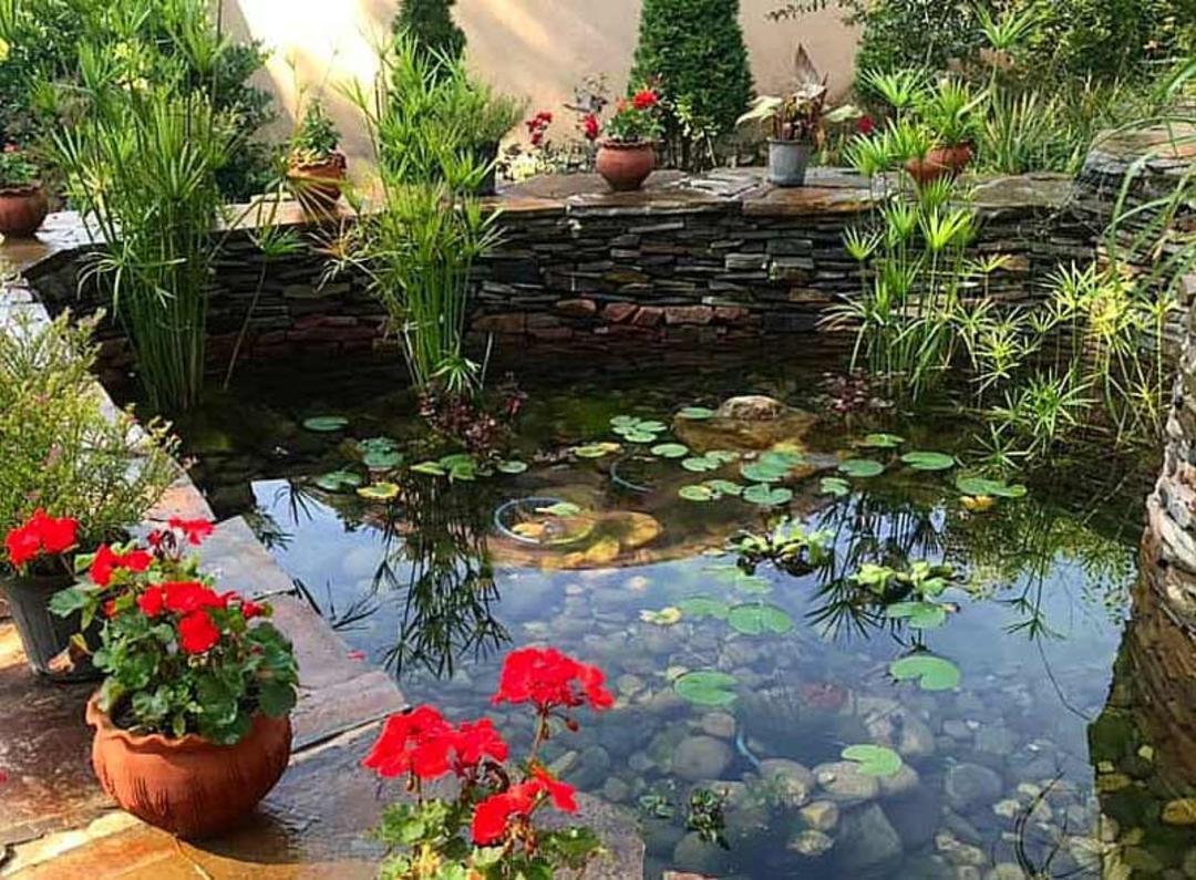 حوض میان محوطه اقامتگاه بومگردی یارا با گلدان های قرمز
