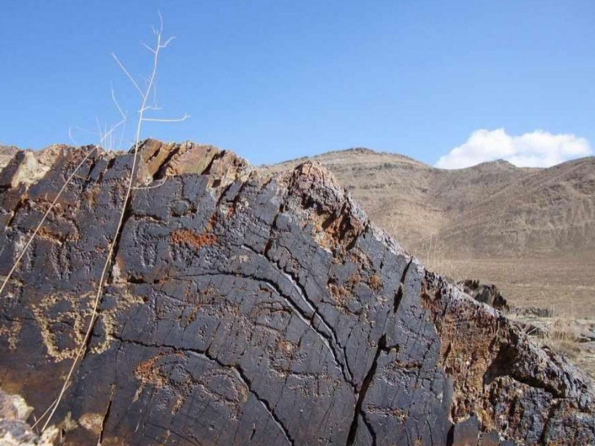 حکاکی های تنگه غرقاب