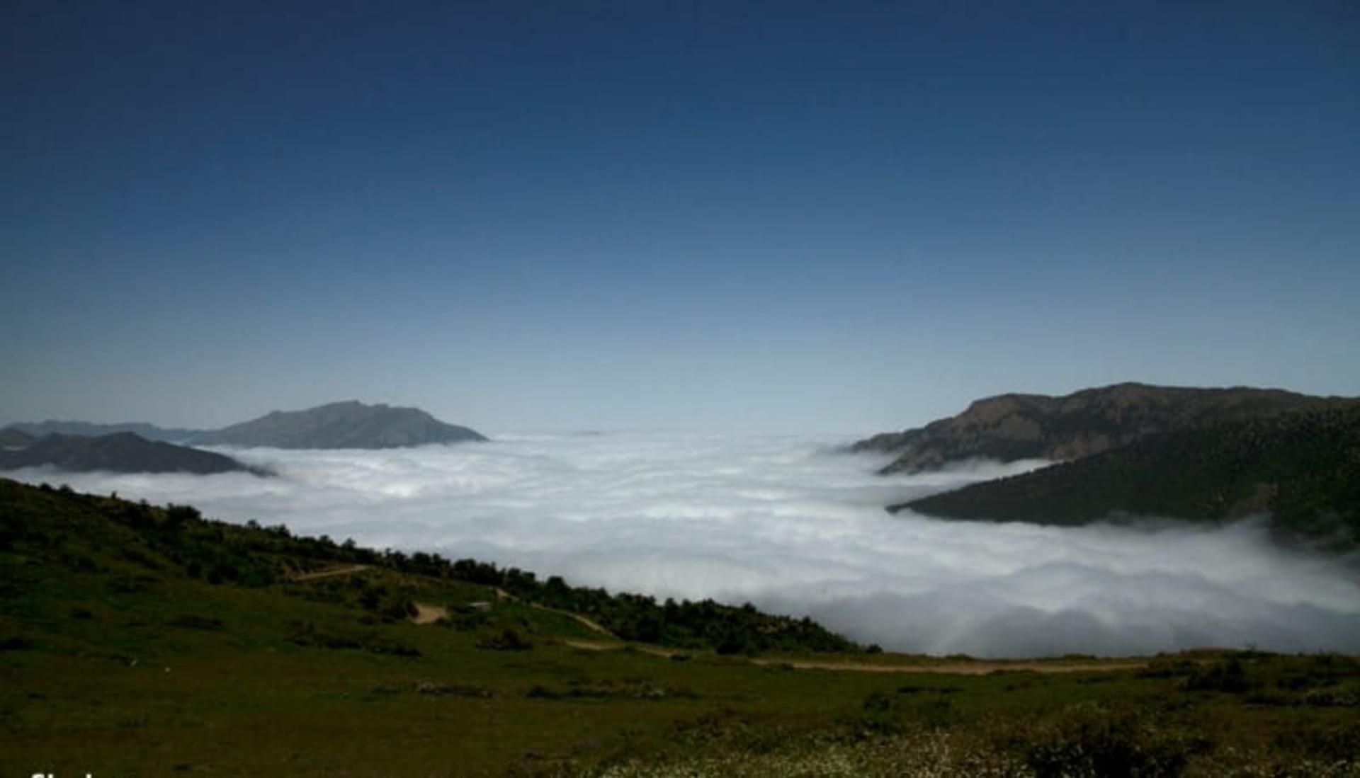 جنگل رودبارک شهمیرزاد