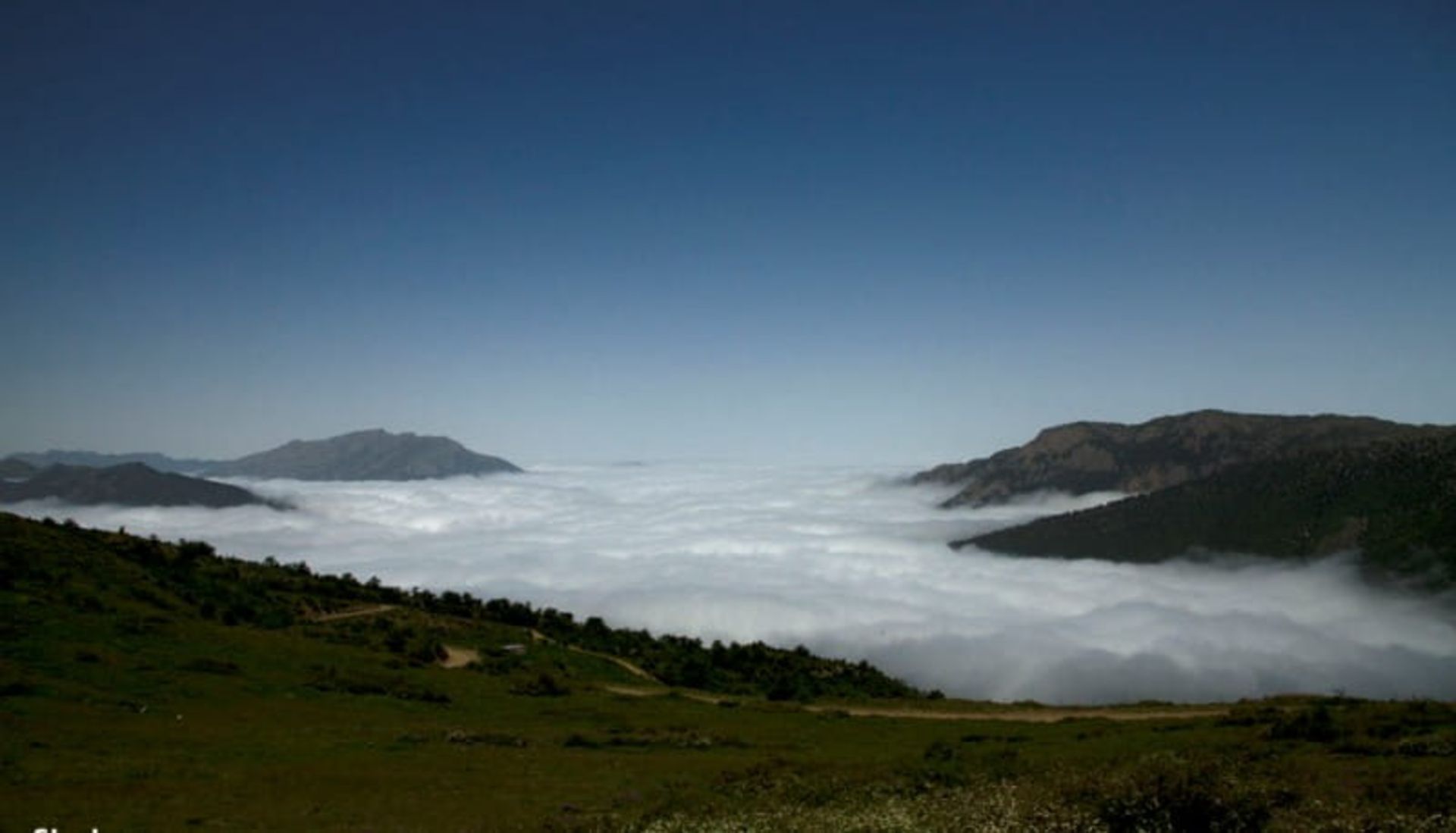 جنگل رودبارک شهمیرزاد