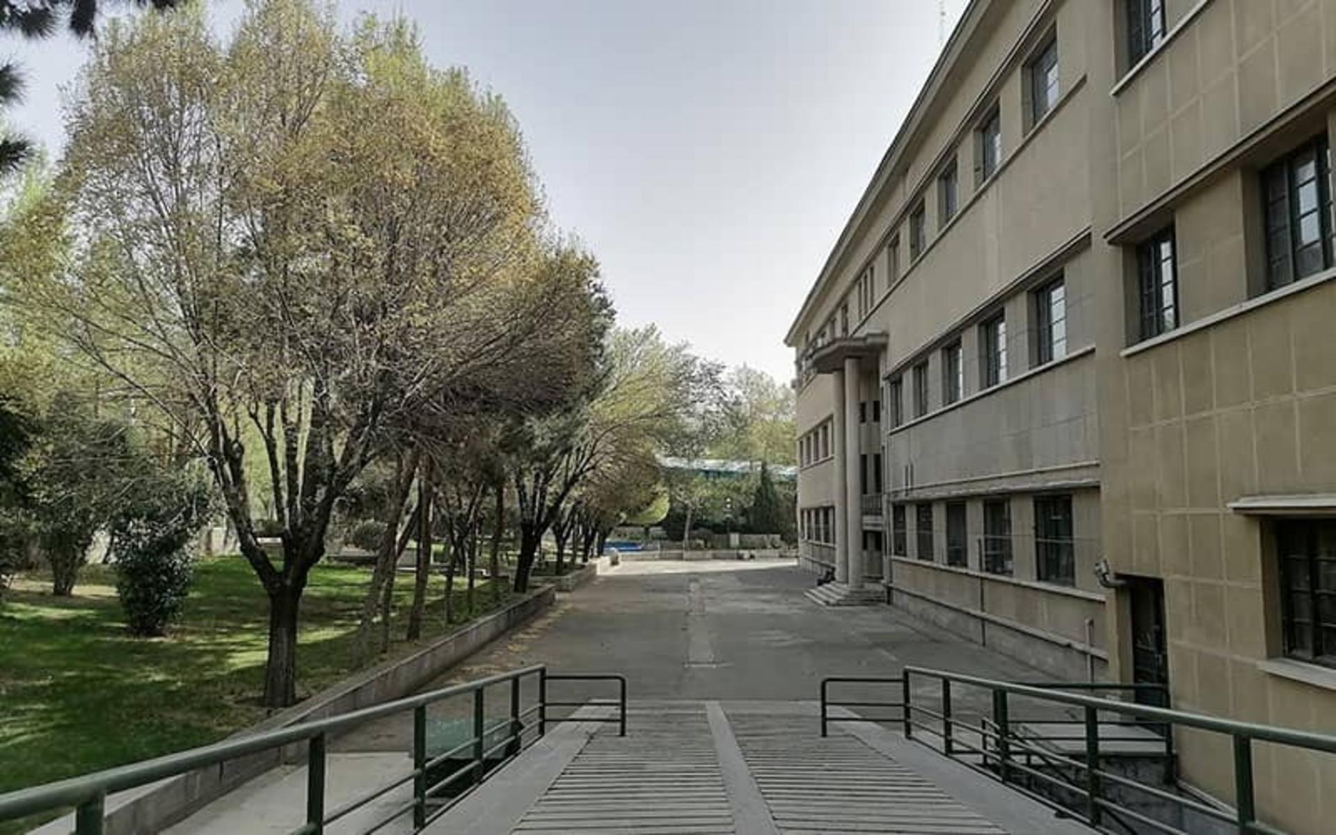 دانشگاه تهران