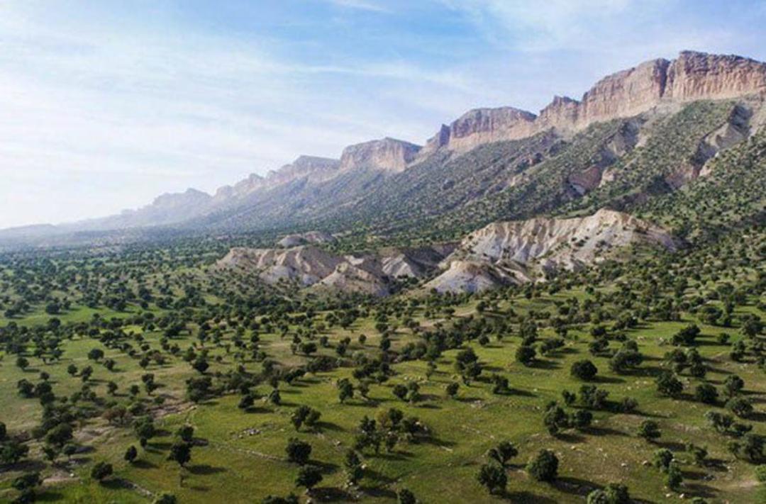 دامنه های سرسبز ایلام در شهرستان سیروان