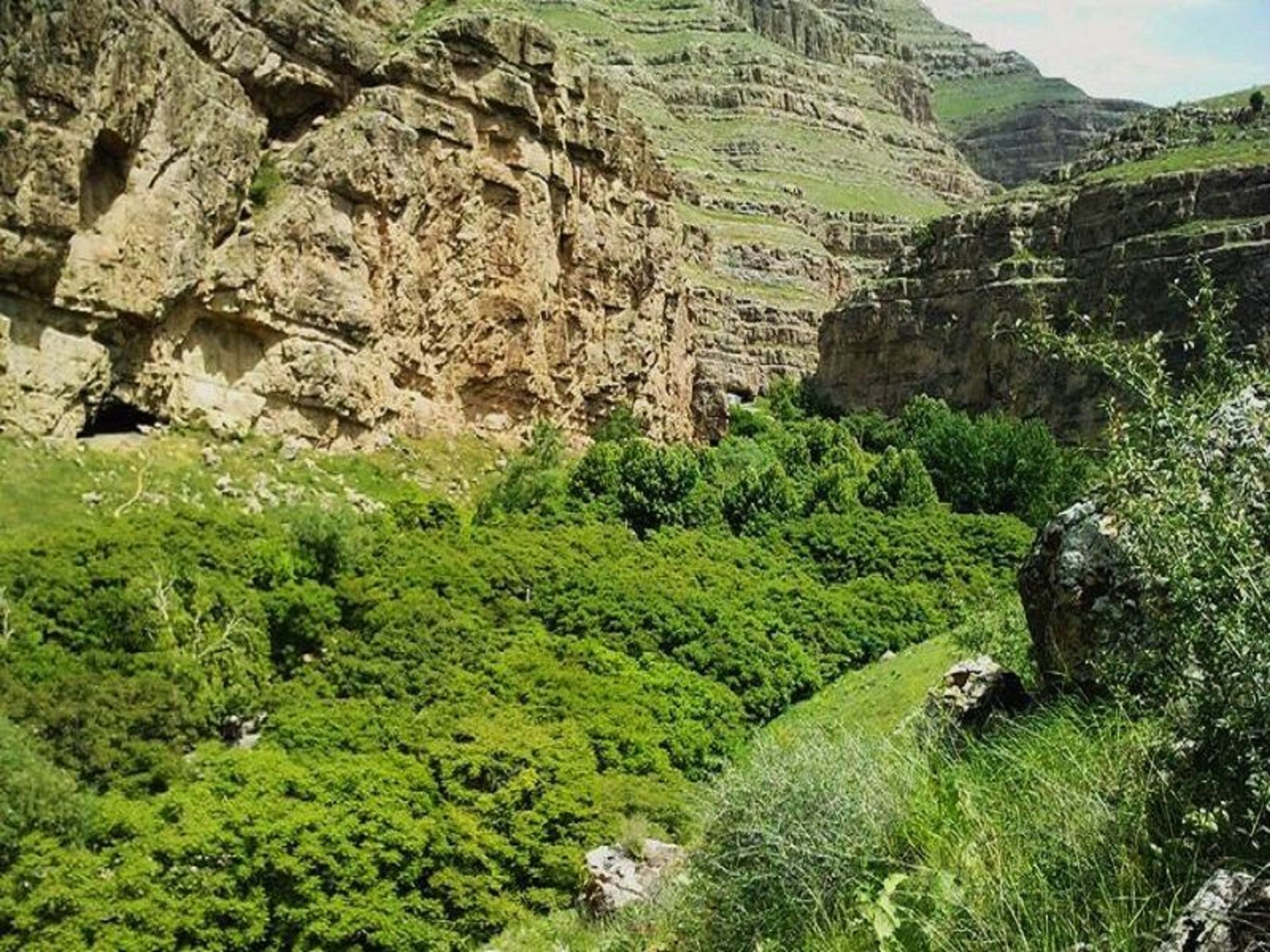 تاریخچه درگز
