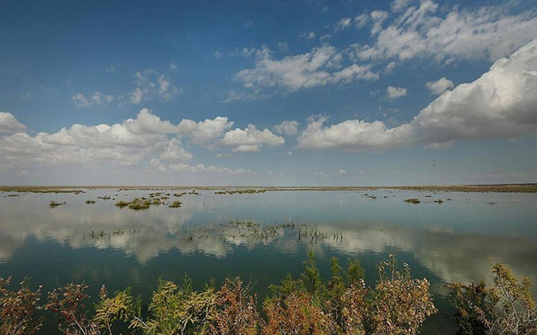 تالاب بند علیخان