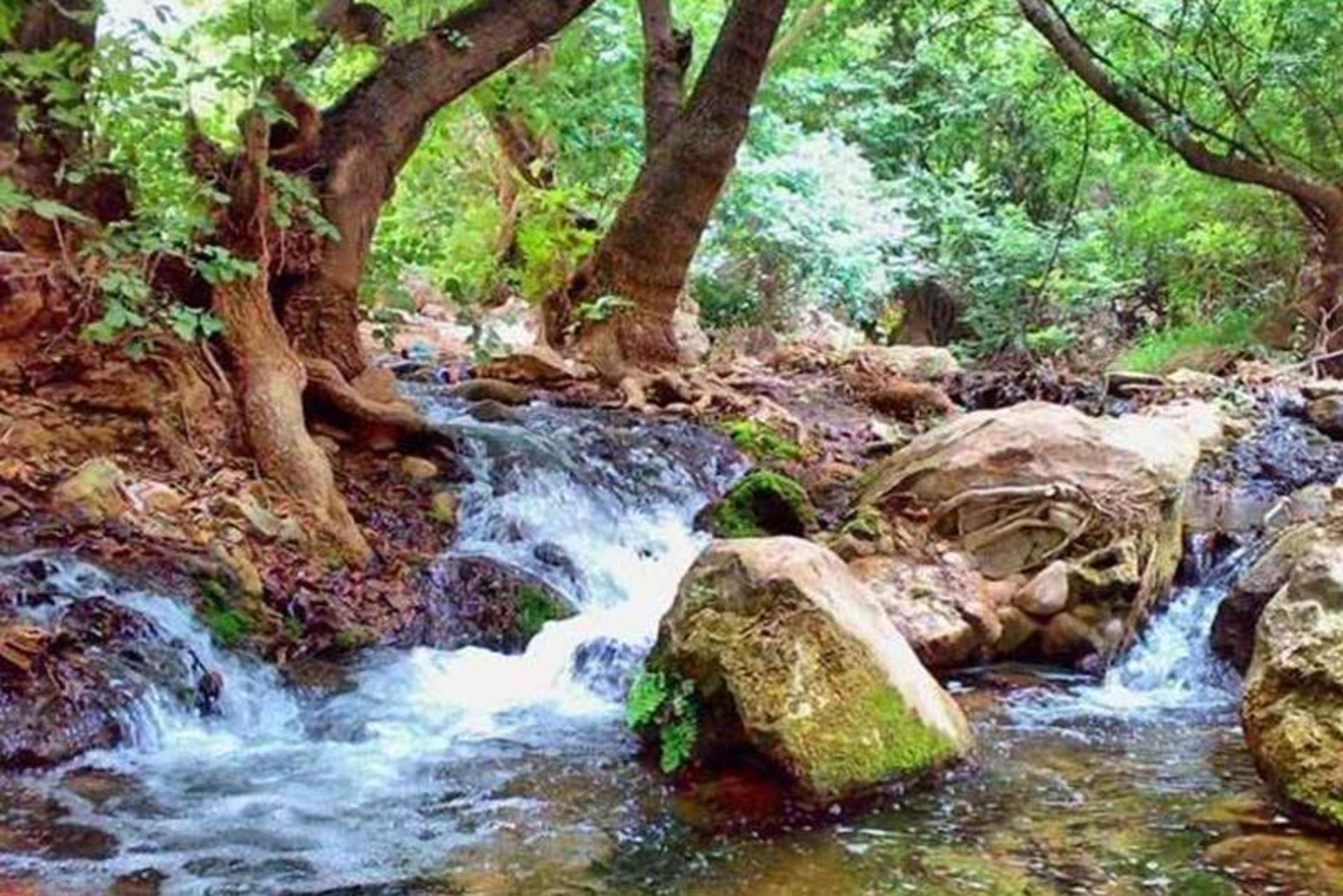 جریان آب رودخانه در تنگه شیرز کوهدشت