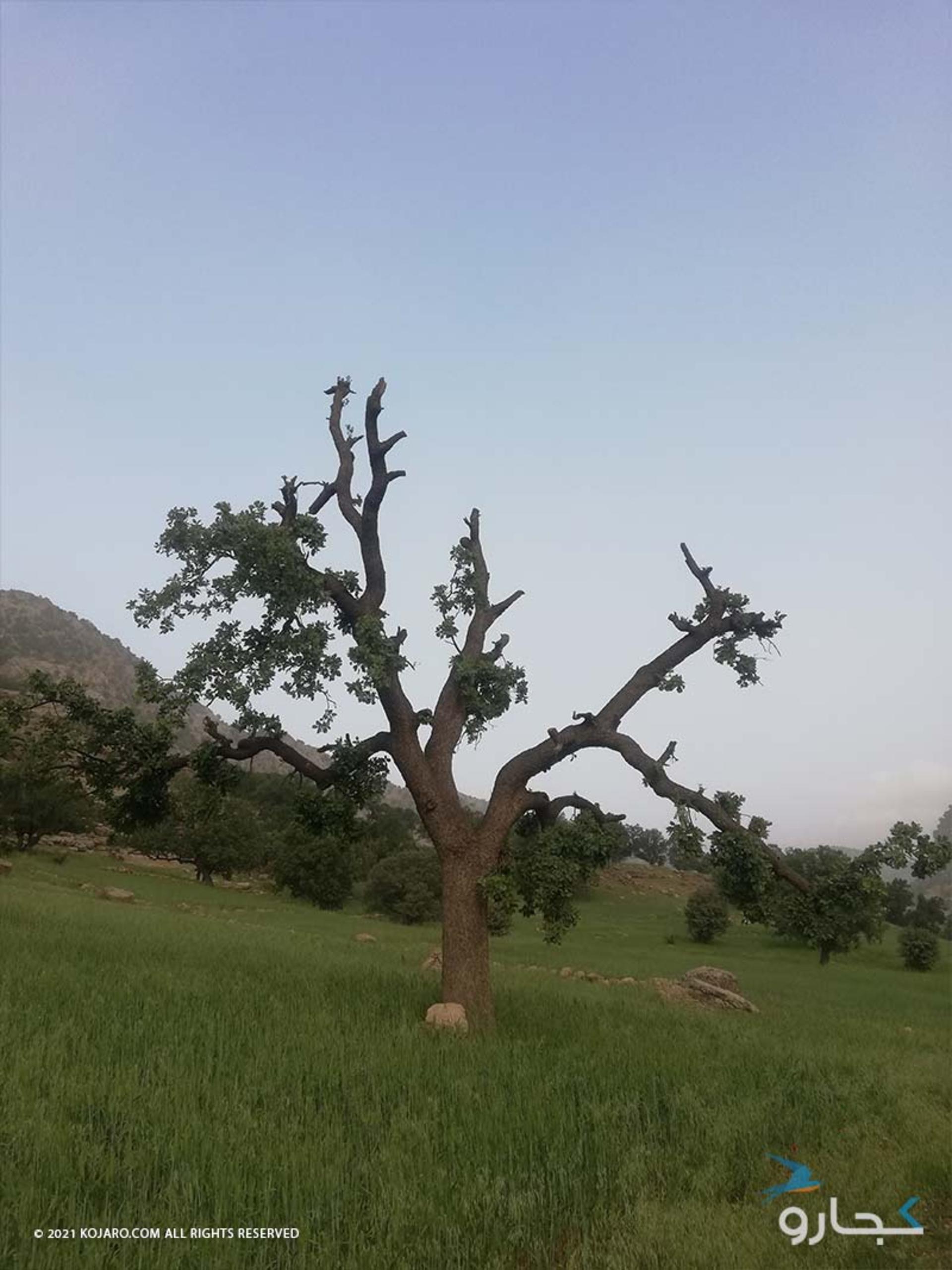 پل خداآفرین و پلکان باستانی دژپارت