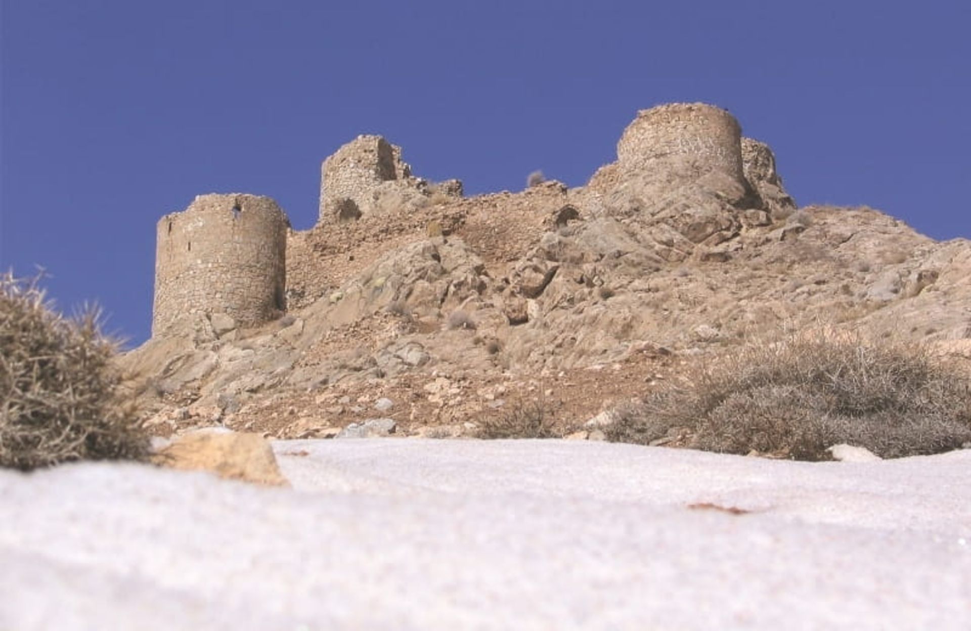 شیر قلعه
