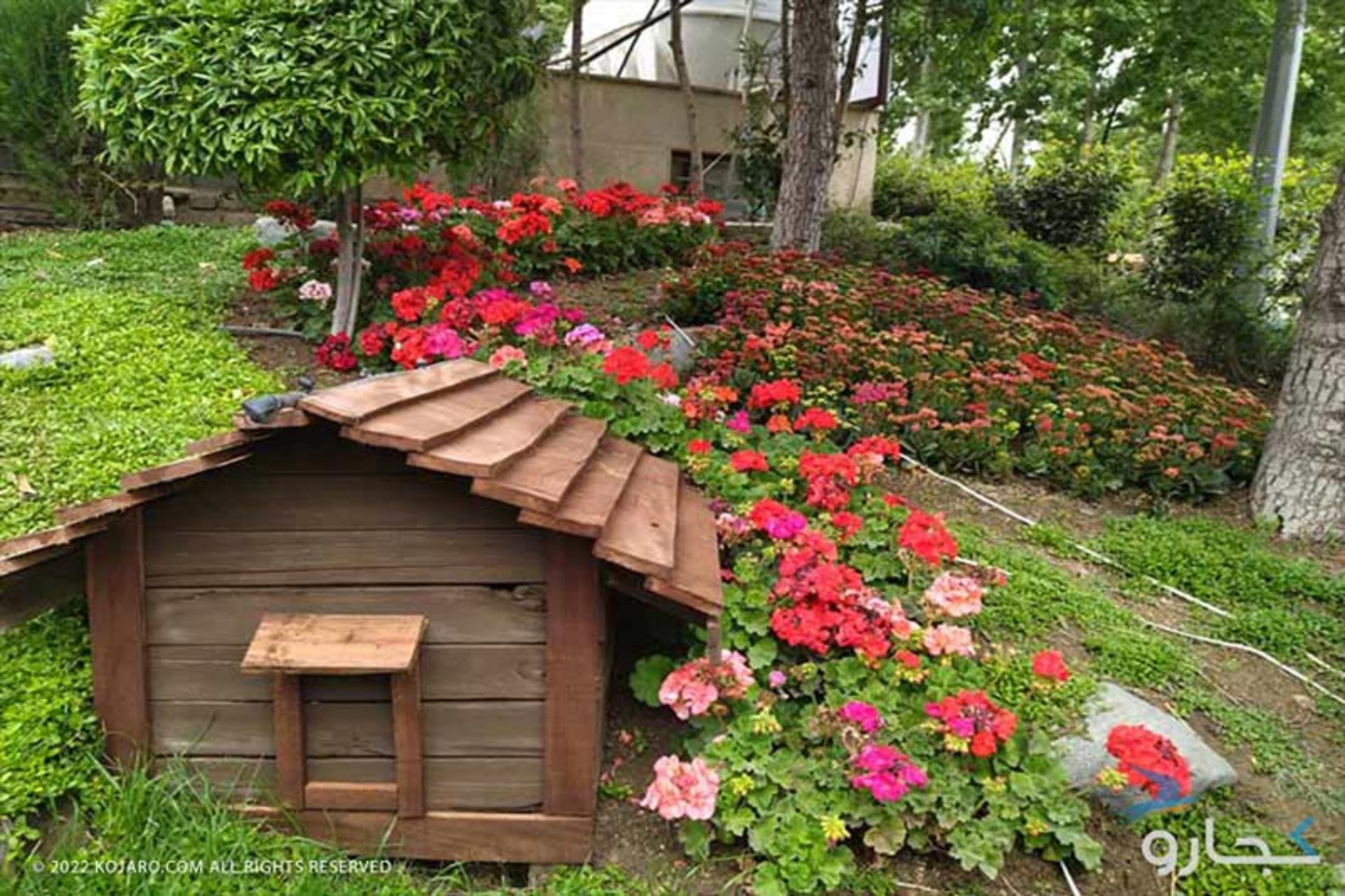 بنفشه های قرمز کنار کلبه چوبی باغ گل های پارک چمران کرج