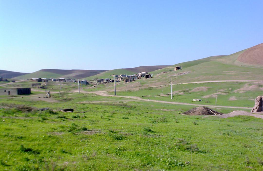 دشت سرسبز مغان