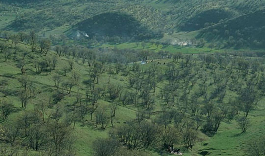 درختان و مراتع سرسبز در دره سرطرهان لرستان