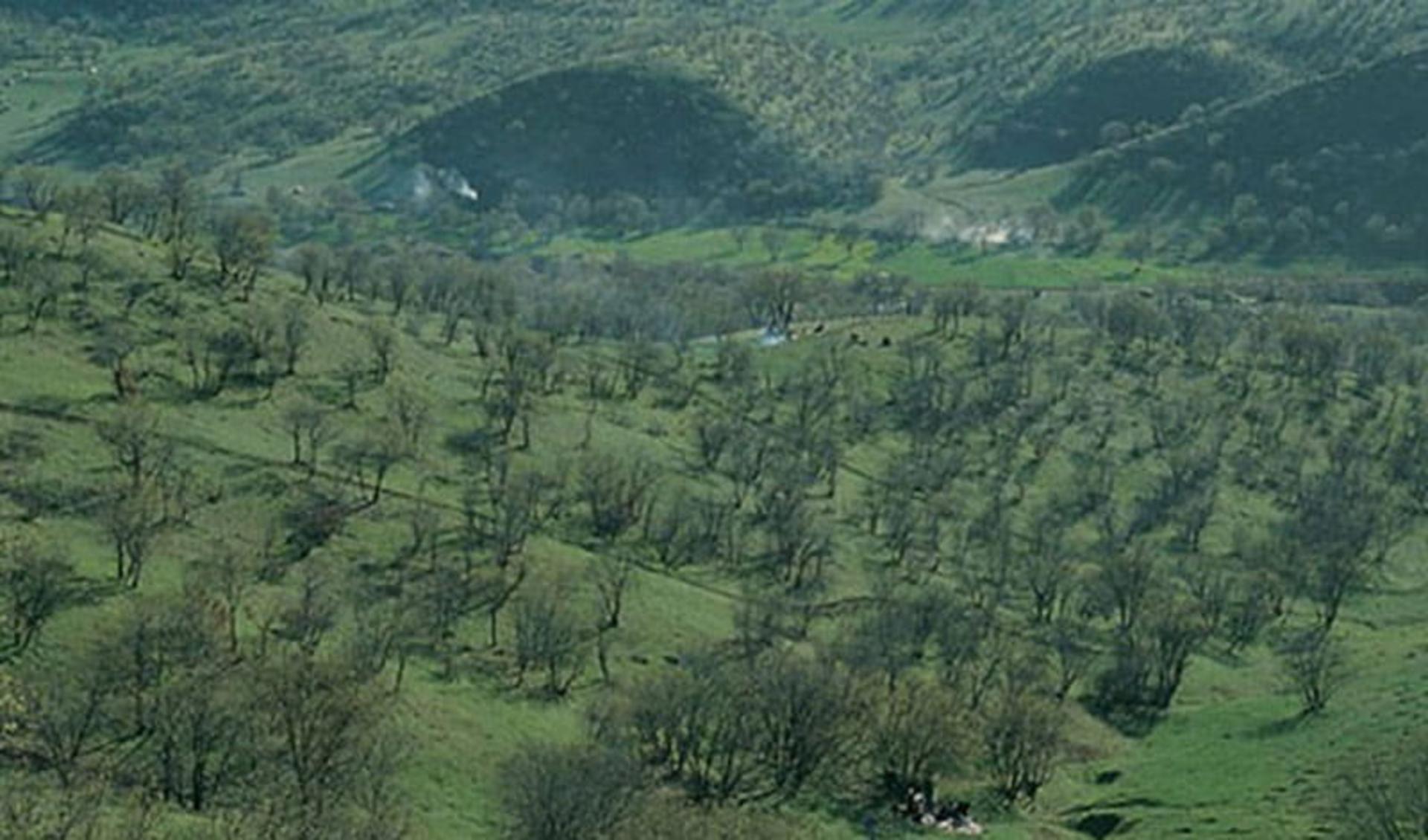 درختان و مراتع سرسبز در دره سرطرهان لرستان